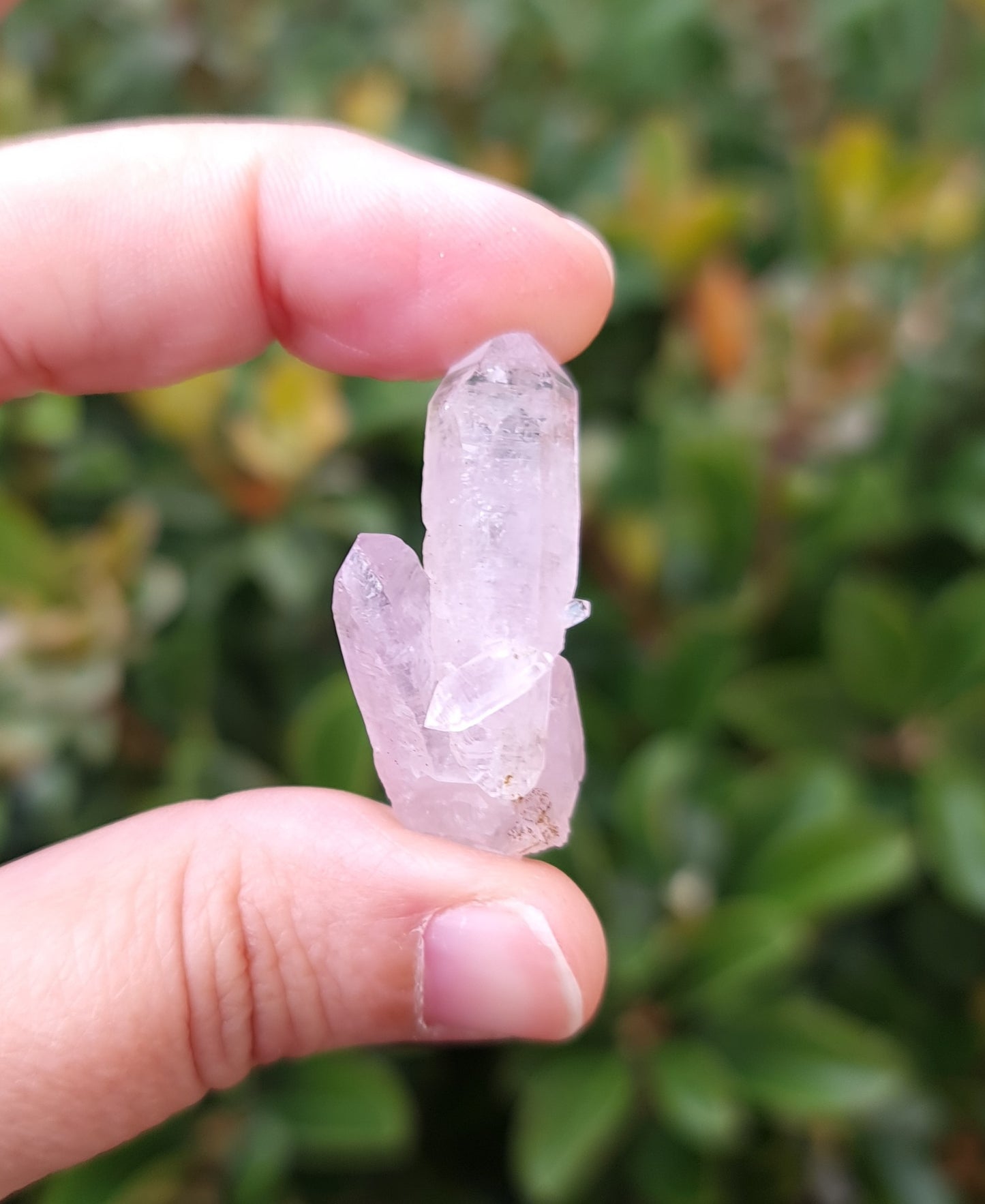 Vera Cruz Amethyst Specimen