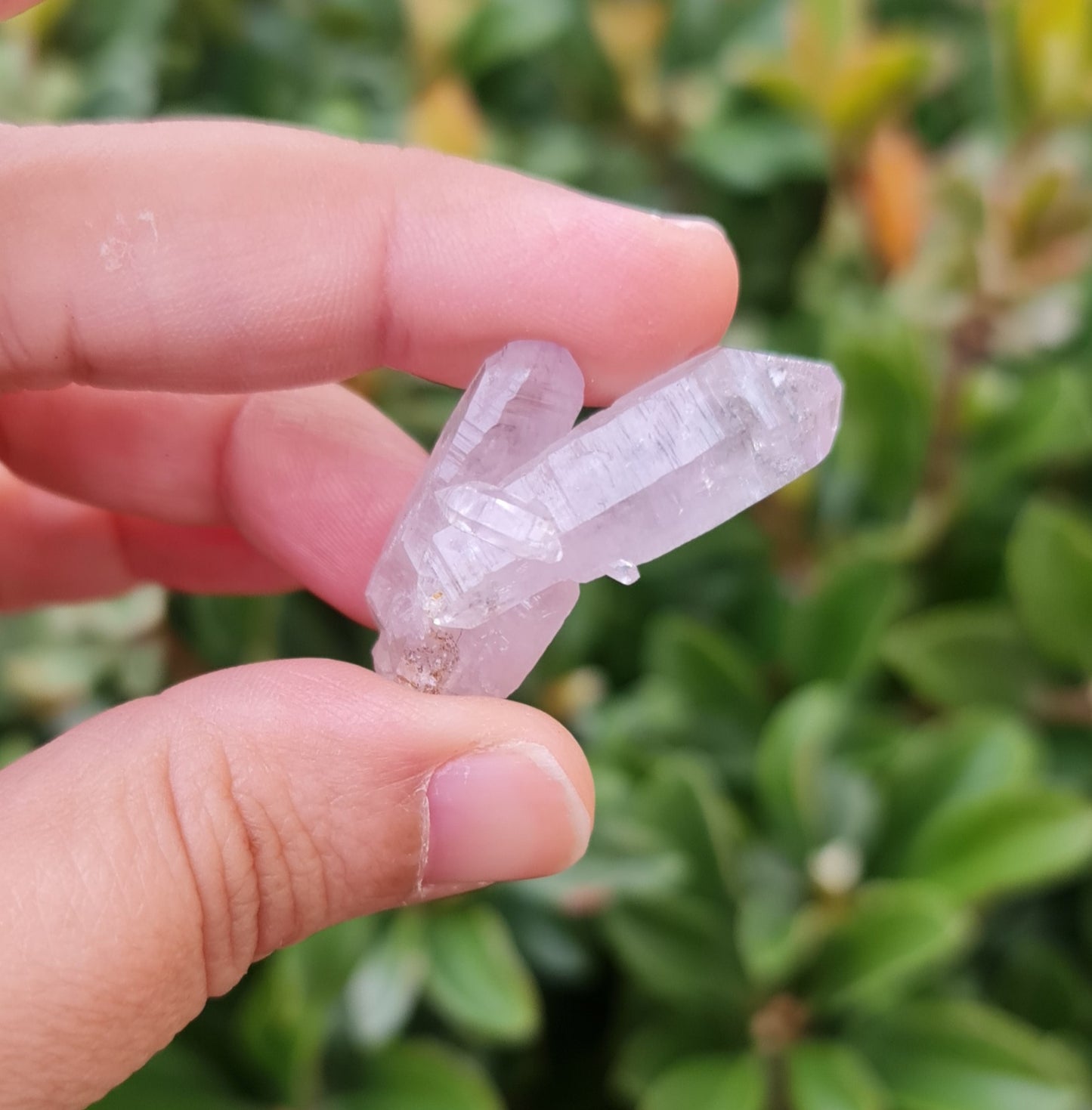 Vera Cruz Amethyst Specimen