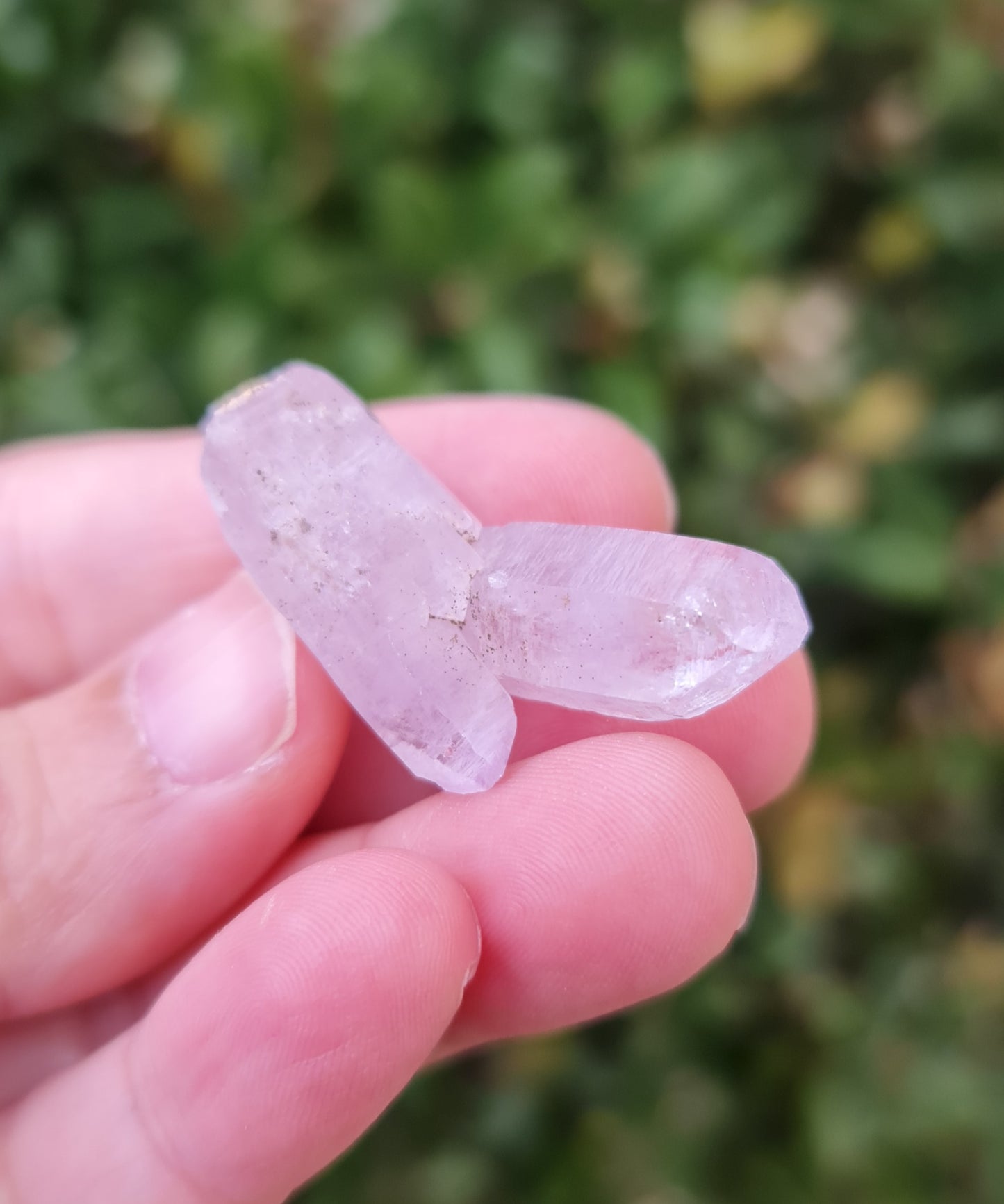 Vera Cruz Amethyst Specimen