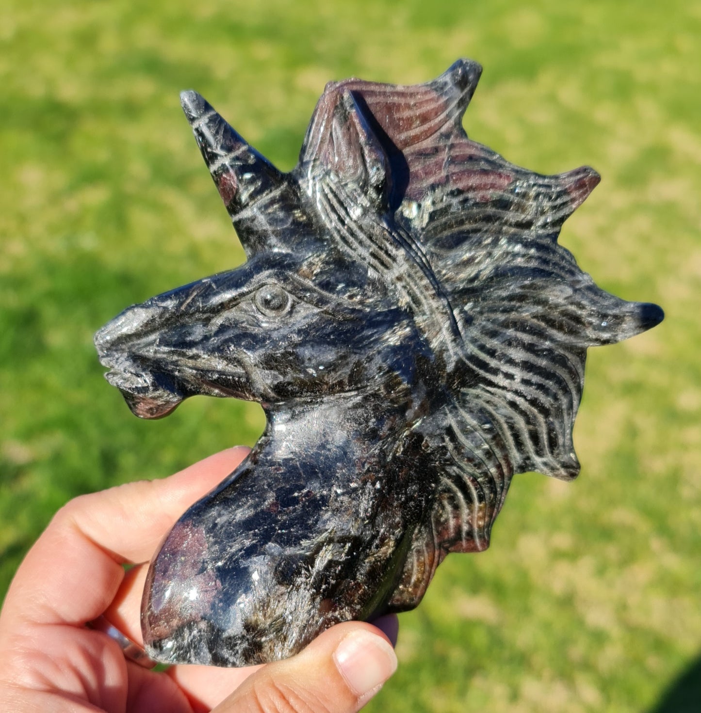 Arfvedsonite Unicorn