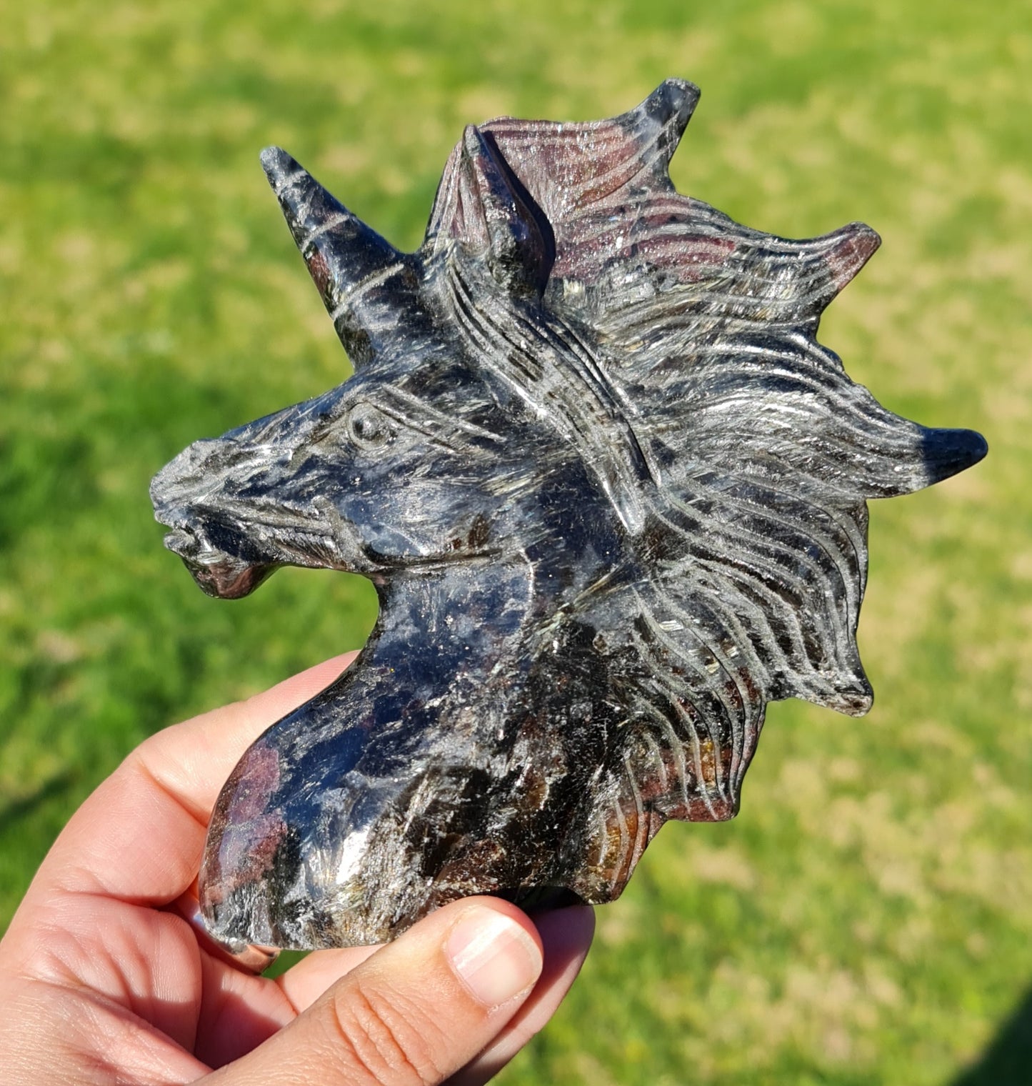 Arfvedsonite Unicorn