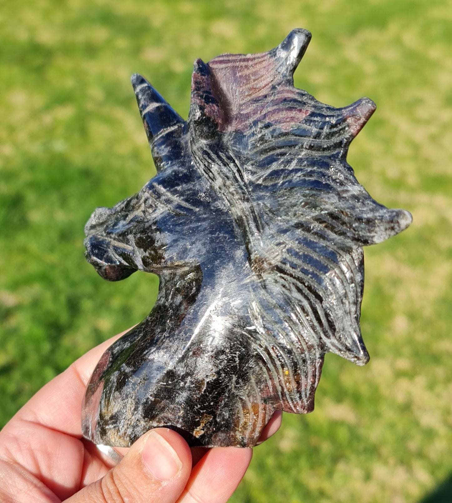 Arfvedsonite Unicorn