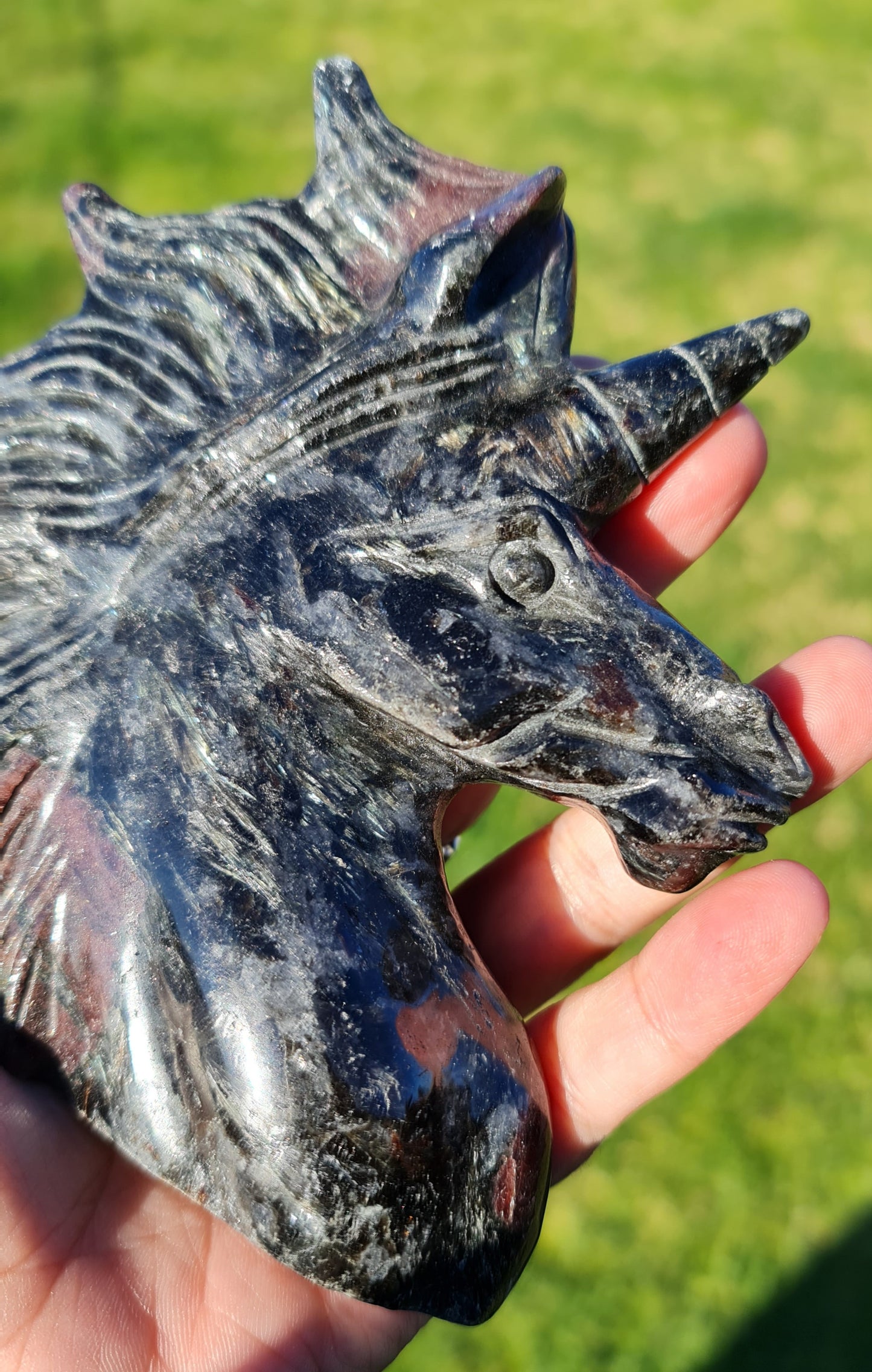 Arfvedsonite Unicorn