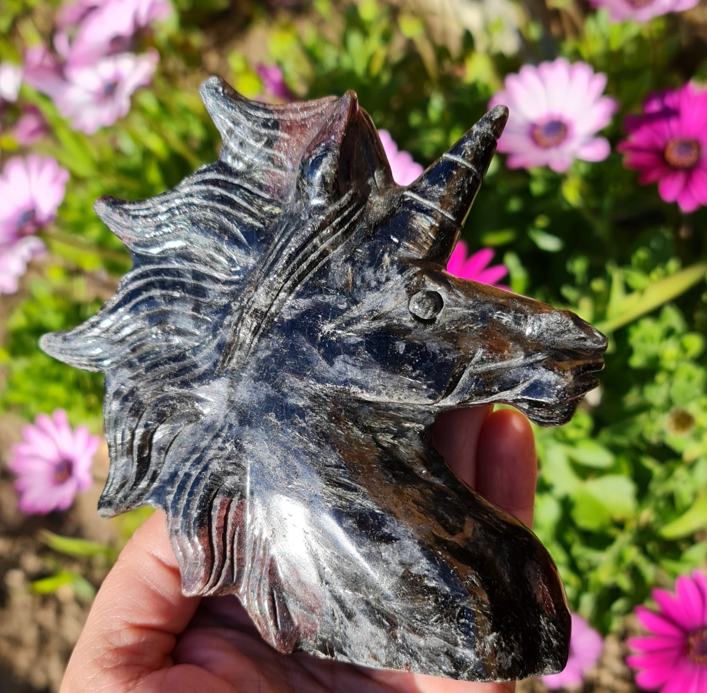 Arfvedsonite Unicorn