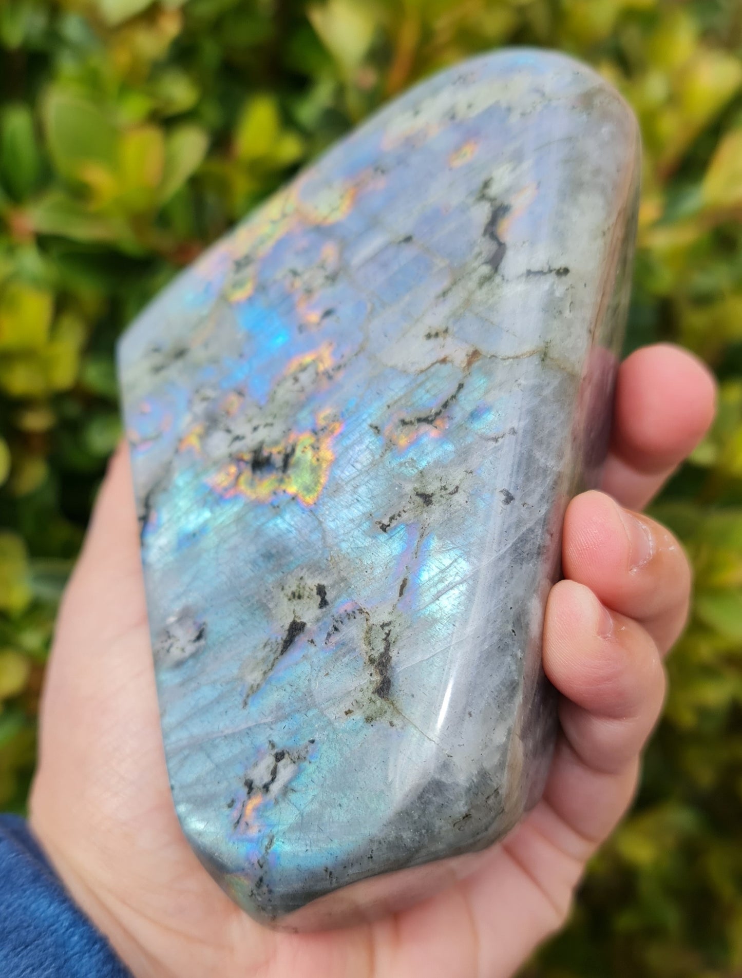 Labradorite Freeform