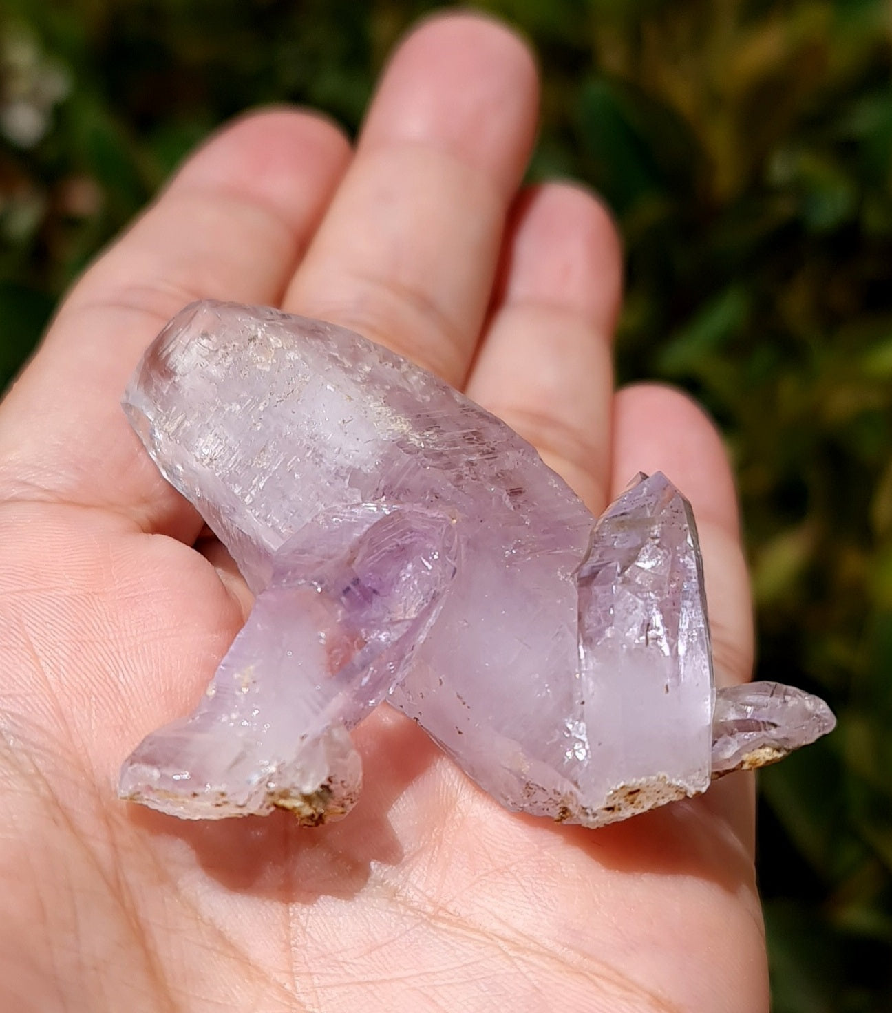 Vera Cruz Amethyst Specimen