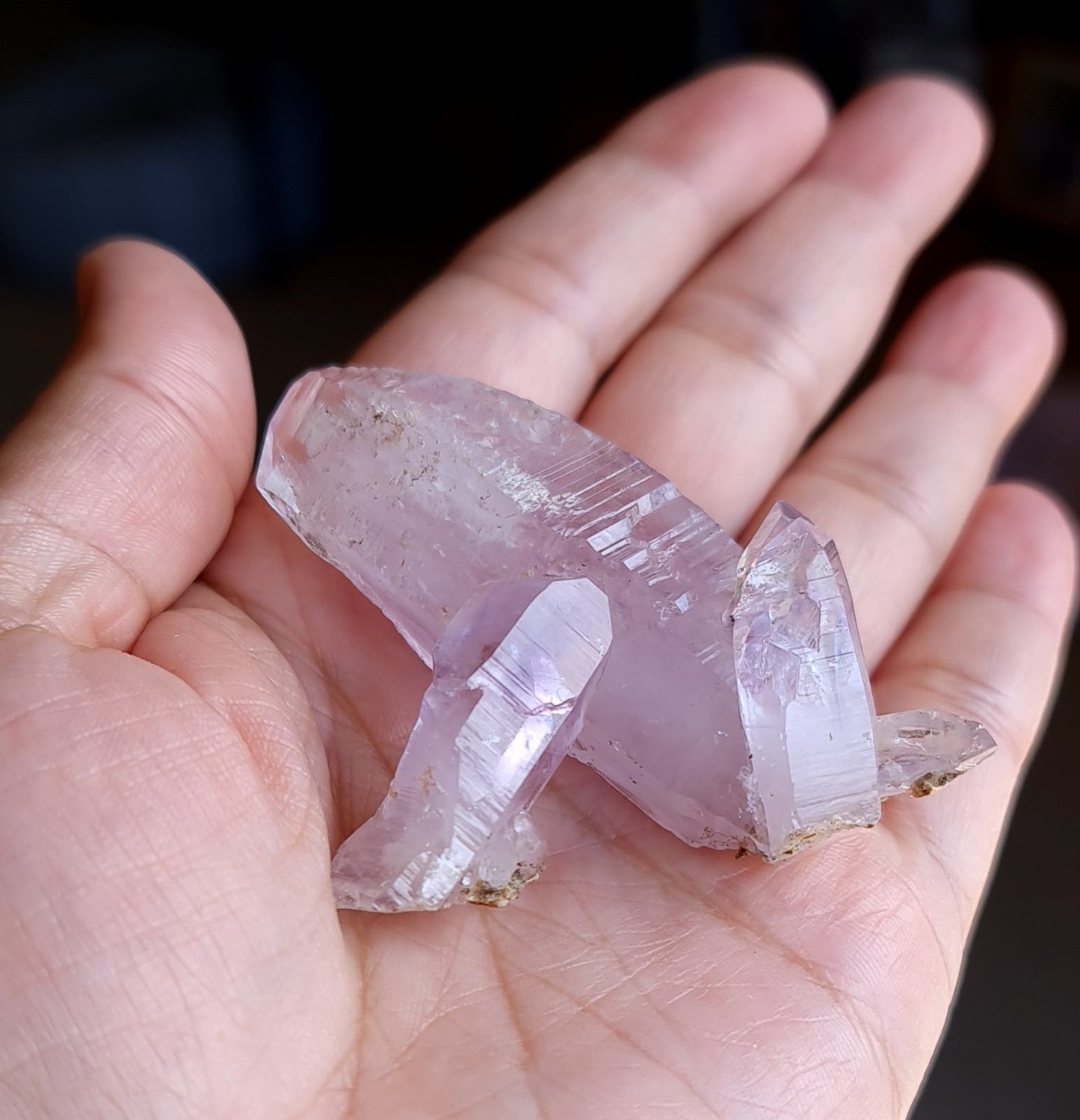 Vera Cruz Amethyst Specimen
