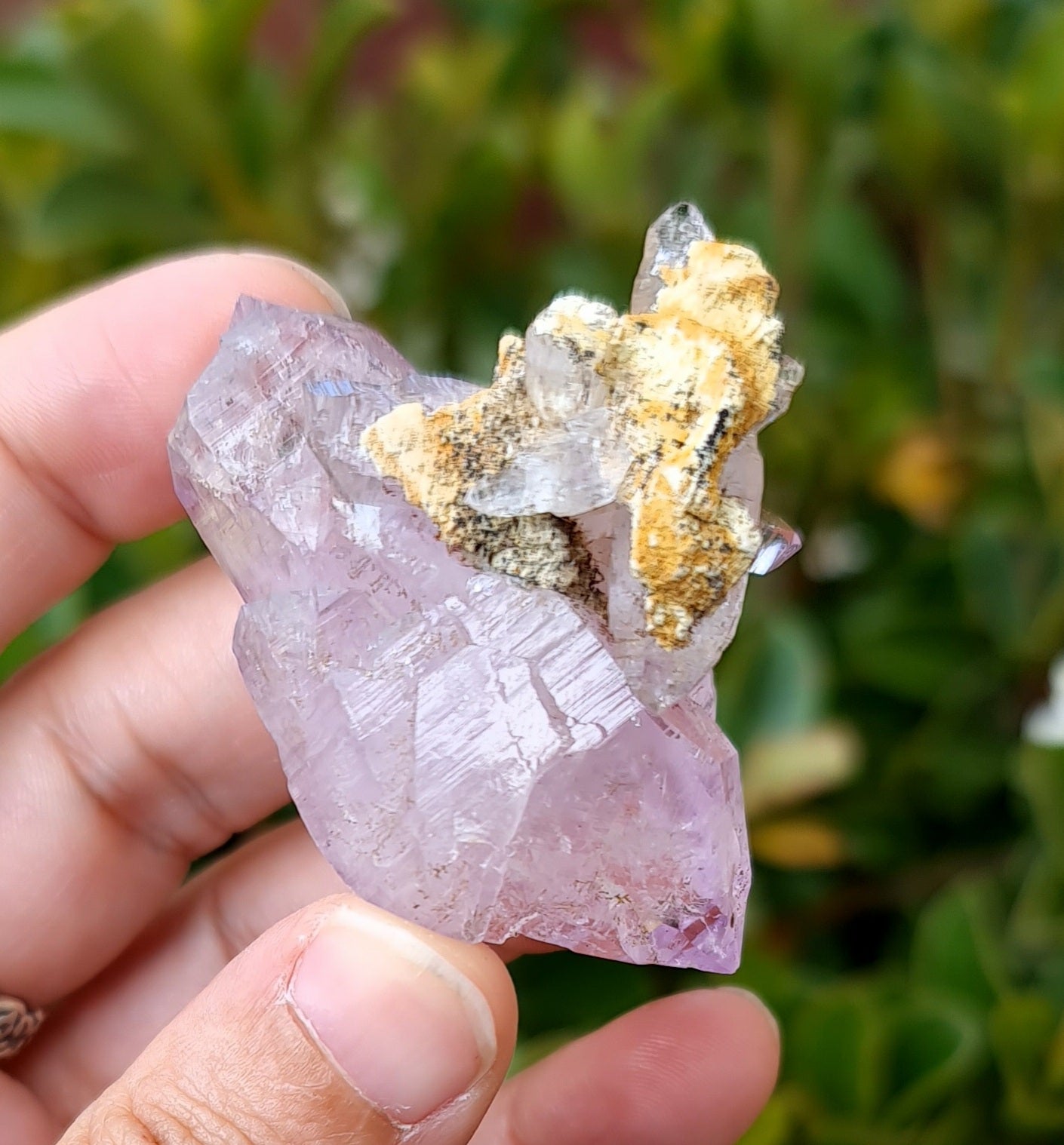 Vera Cruz Amethyst Specimen