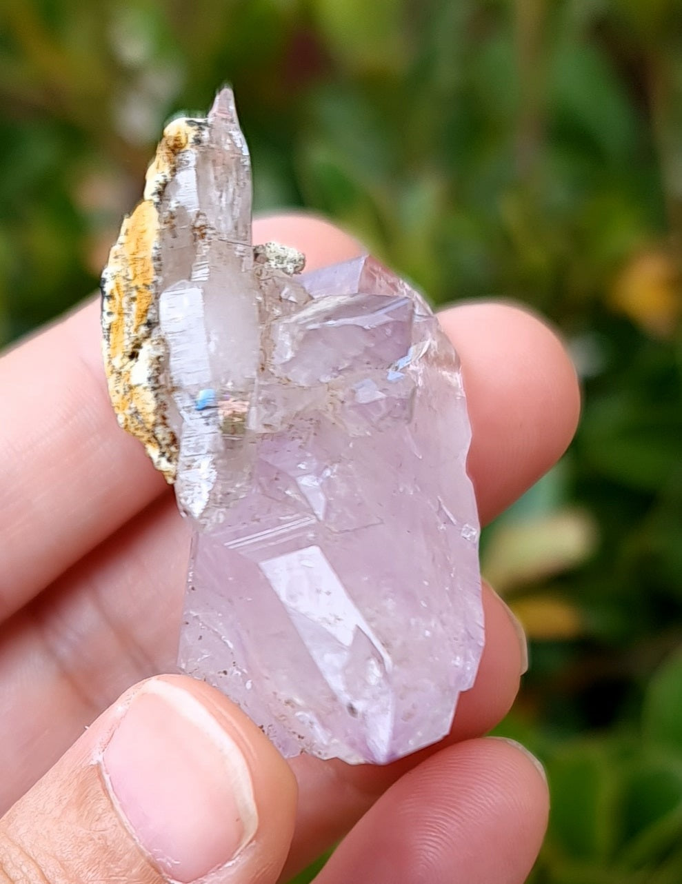 Vera Cruz Amethyst Specimen