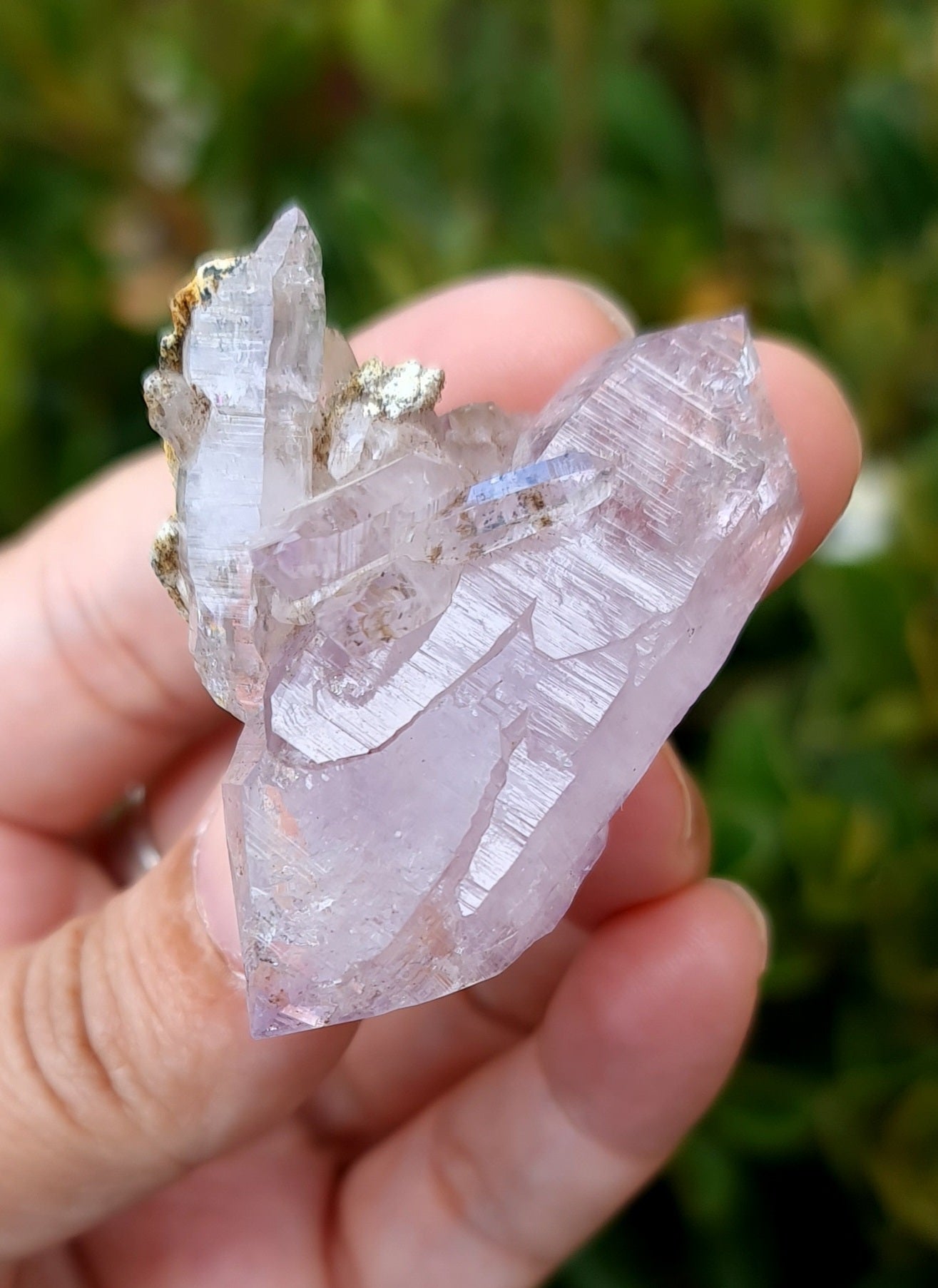 Vera Cruz Amethyst Specimen
