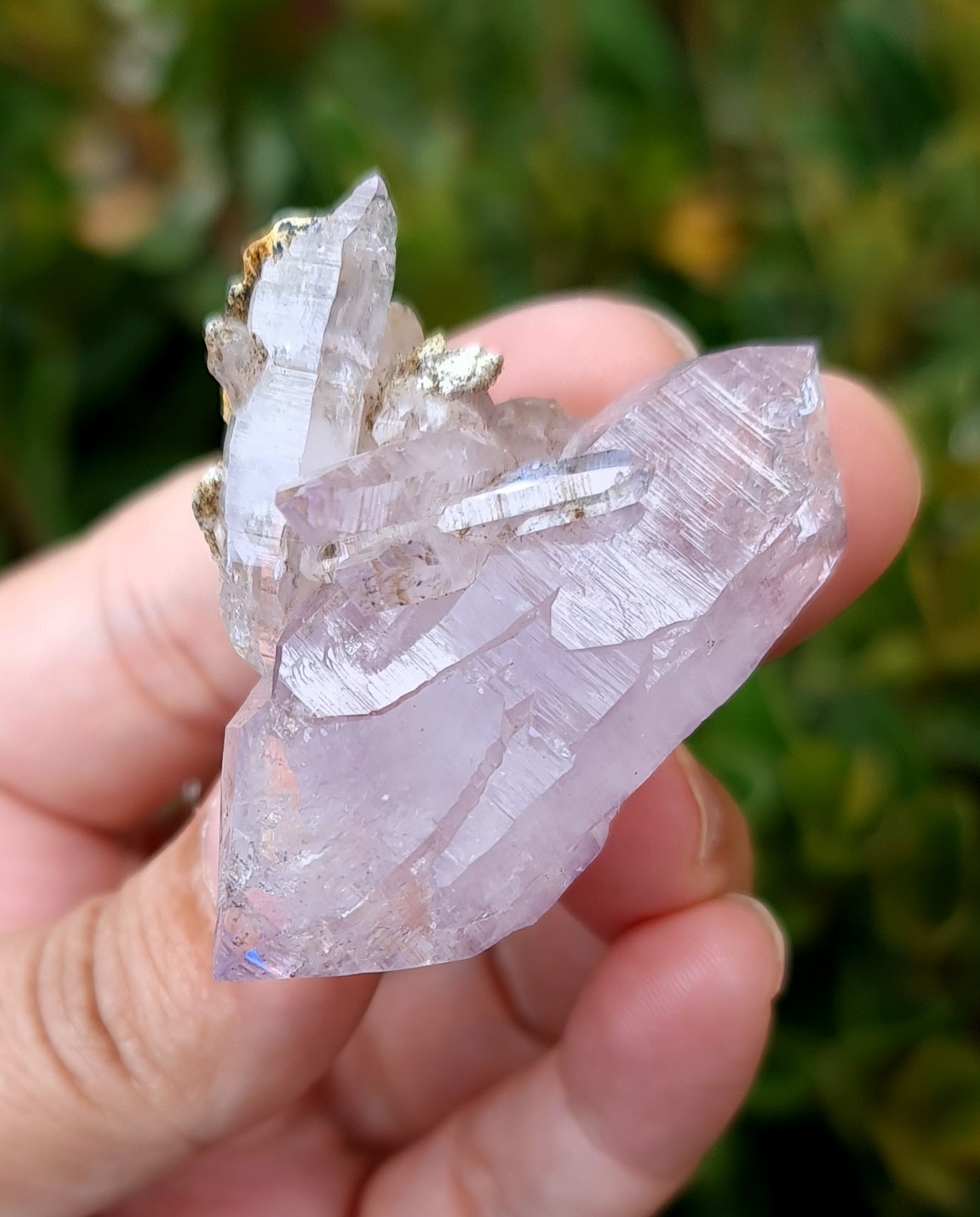 Vera Cruz Amethyst Specimen