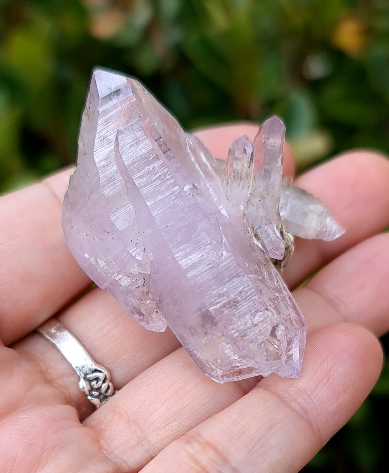 Vera Cruz Amethyst Specimen