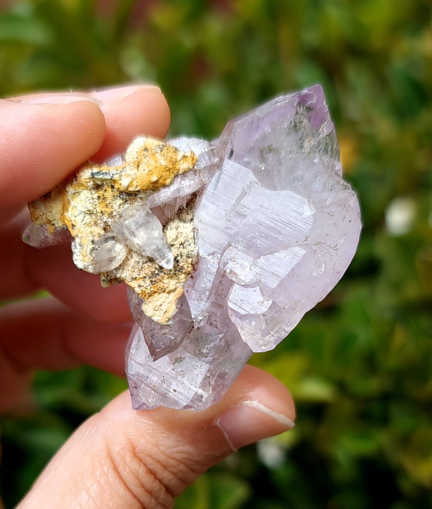 Vera Cruz Amethyst Specimen