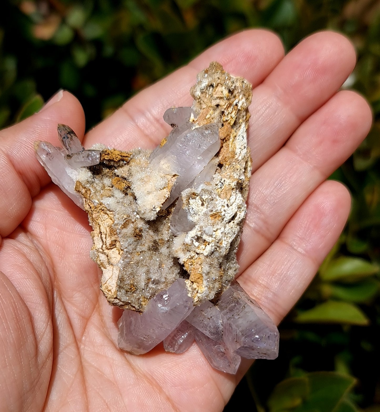 Vera Cruz Amethyst Specimen