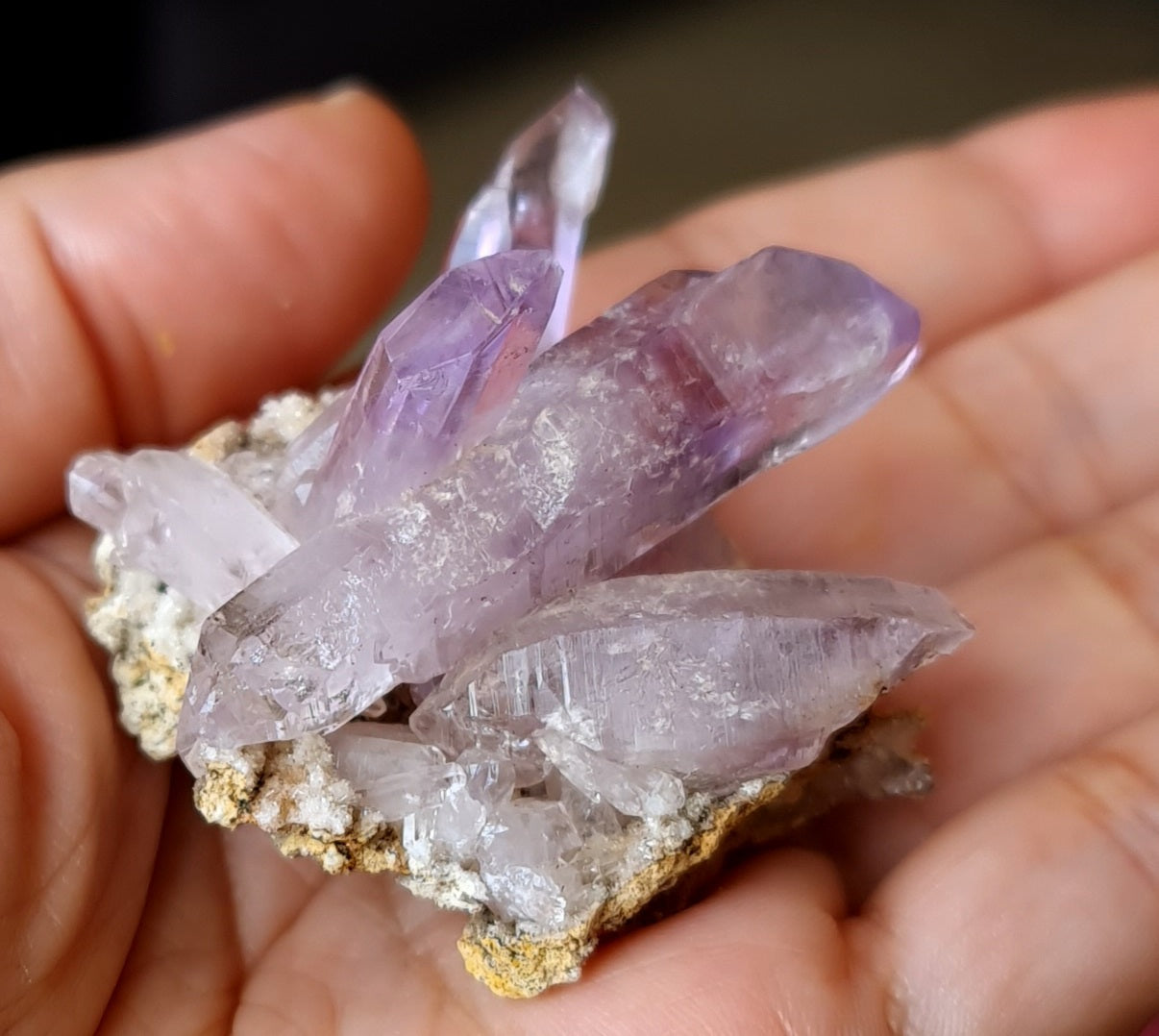 Vera Cruz Amethyst Specimen