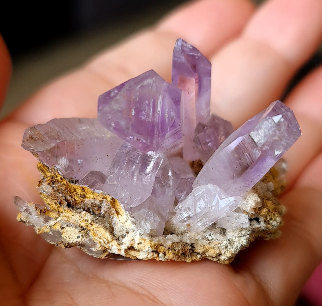 Vera Cruz Amethyst Specimen