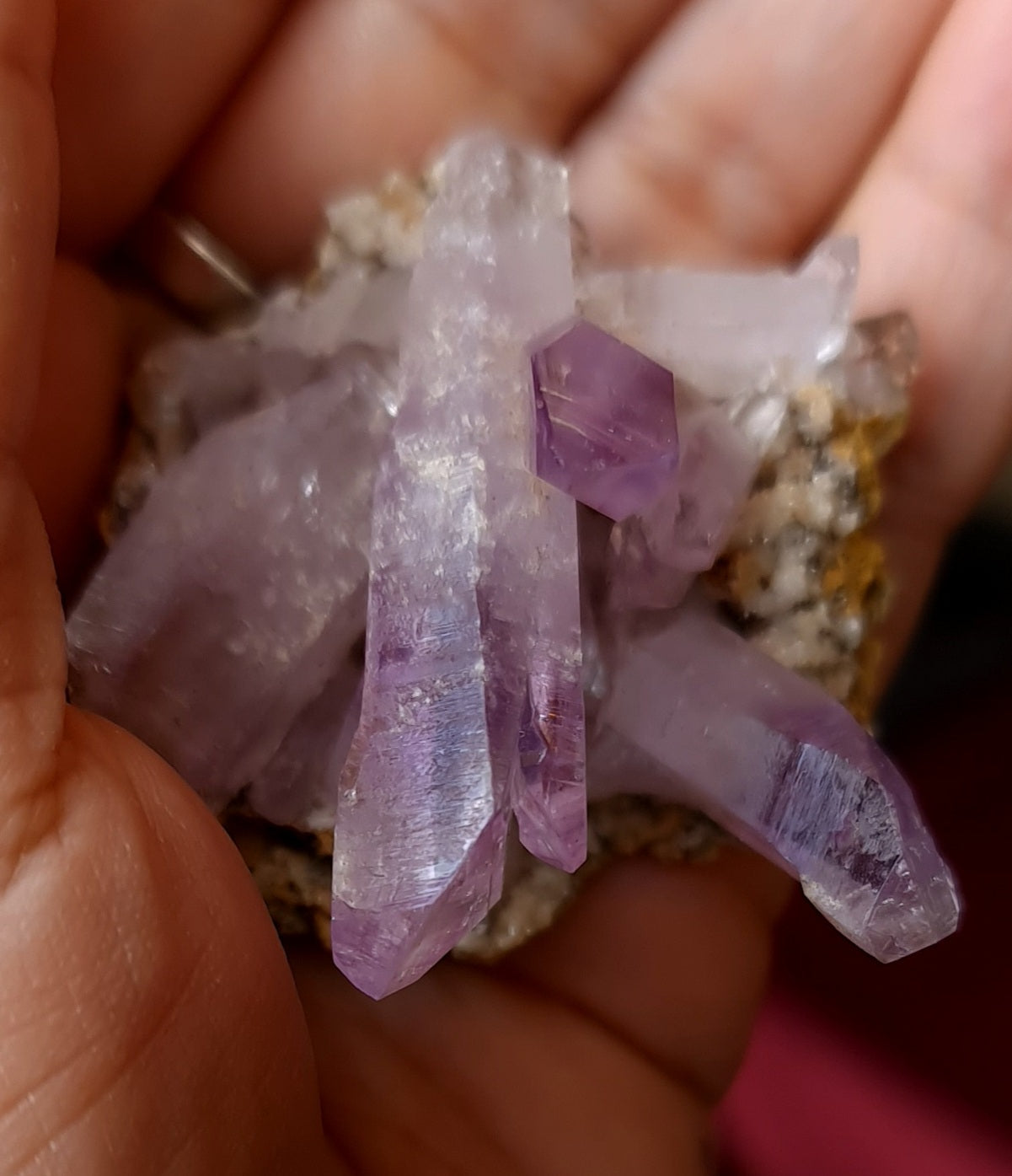 Vera Cruz Amethyst Specimen