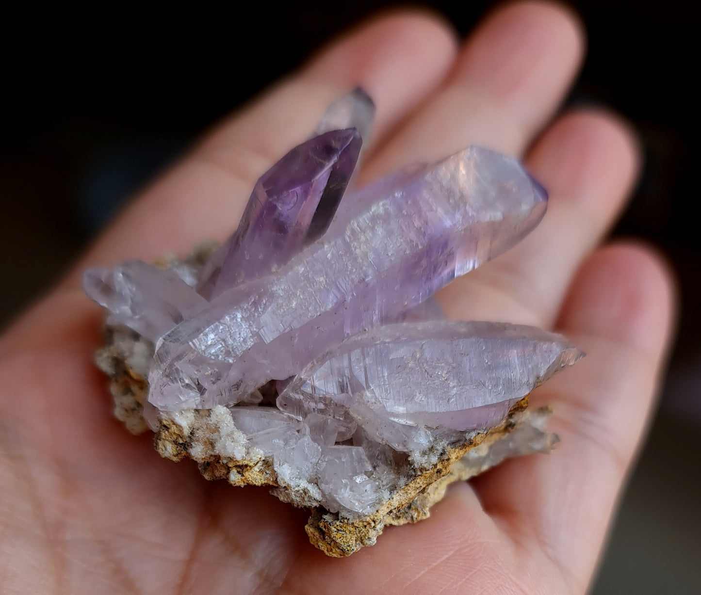 Vera Cruz Amethyst Specimen