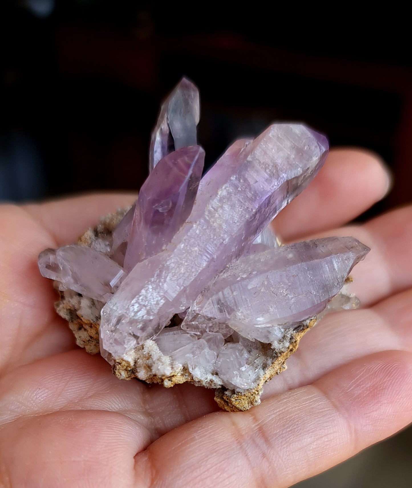 Vera Cruz Amethyst Specimen