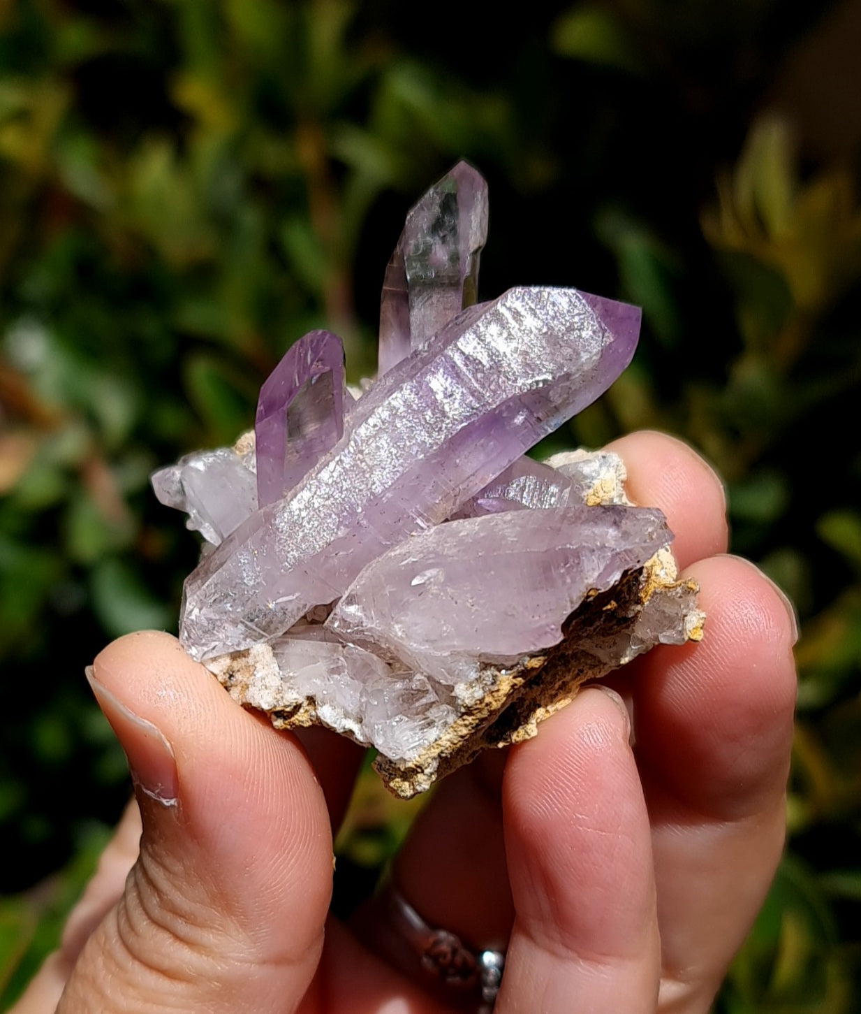 Vera Cruz Amethyst Specimen
