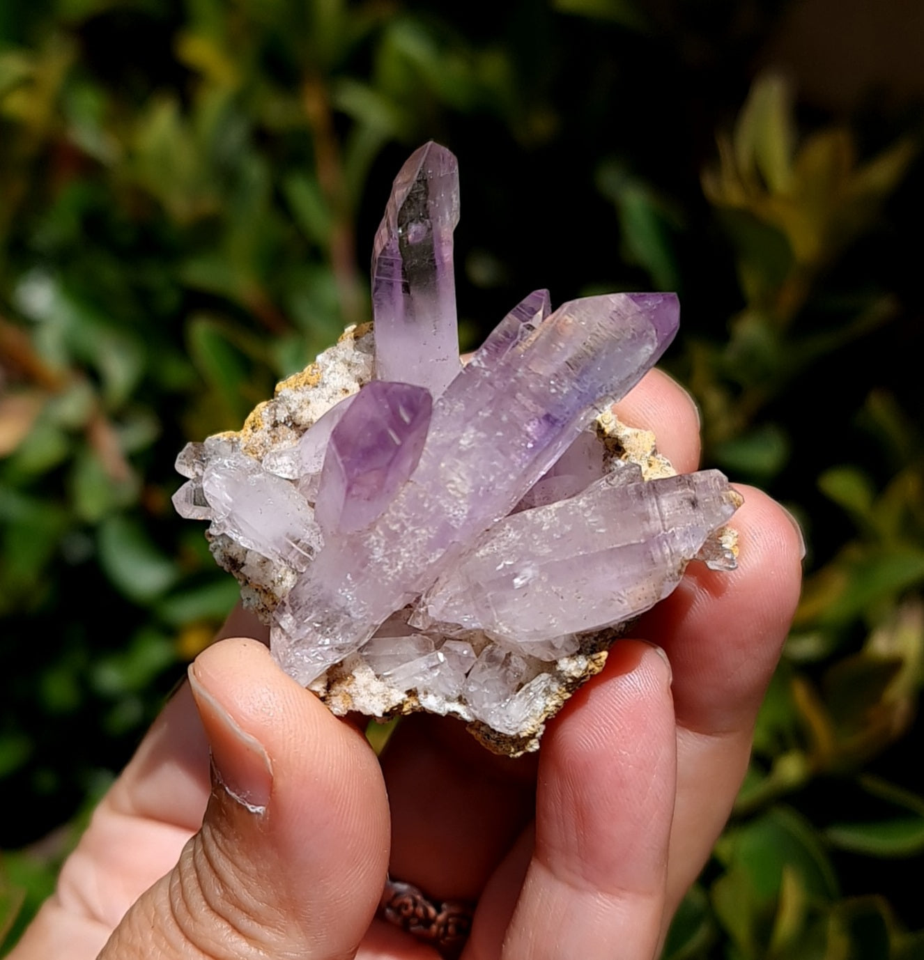 Vera Cruz Amethyst Specimen