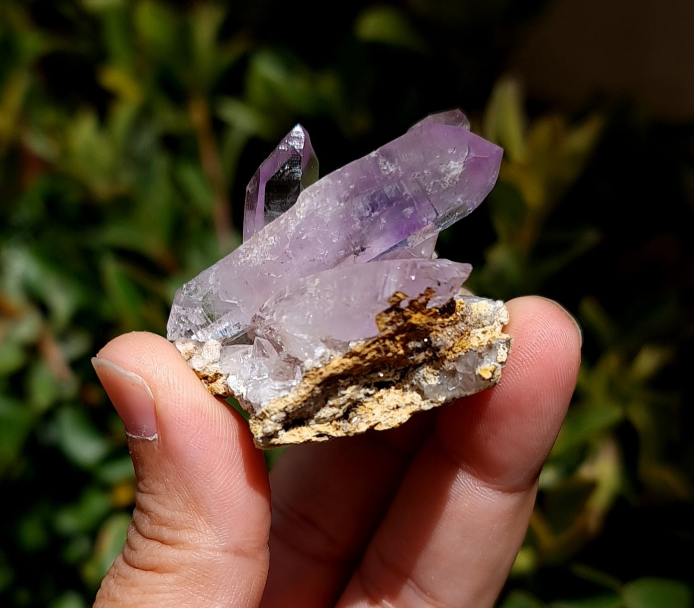 Vera Cruz Amethyst Specimen