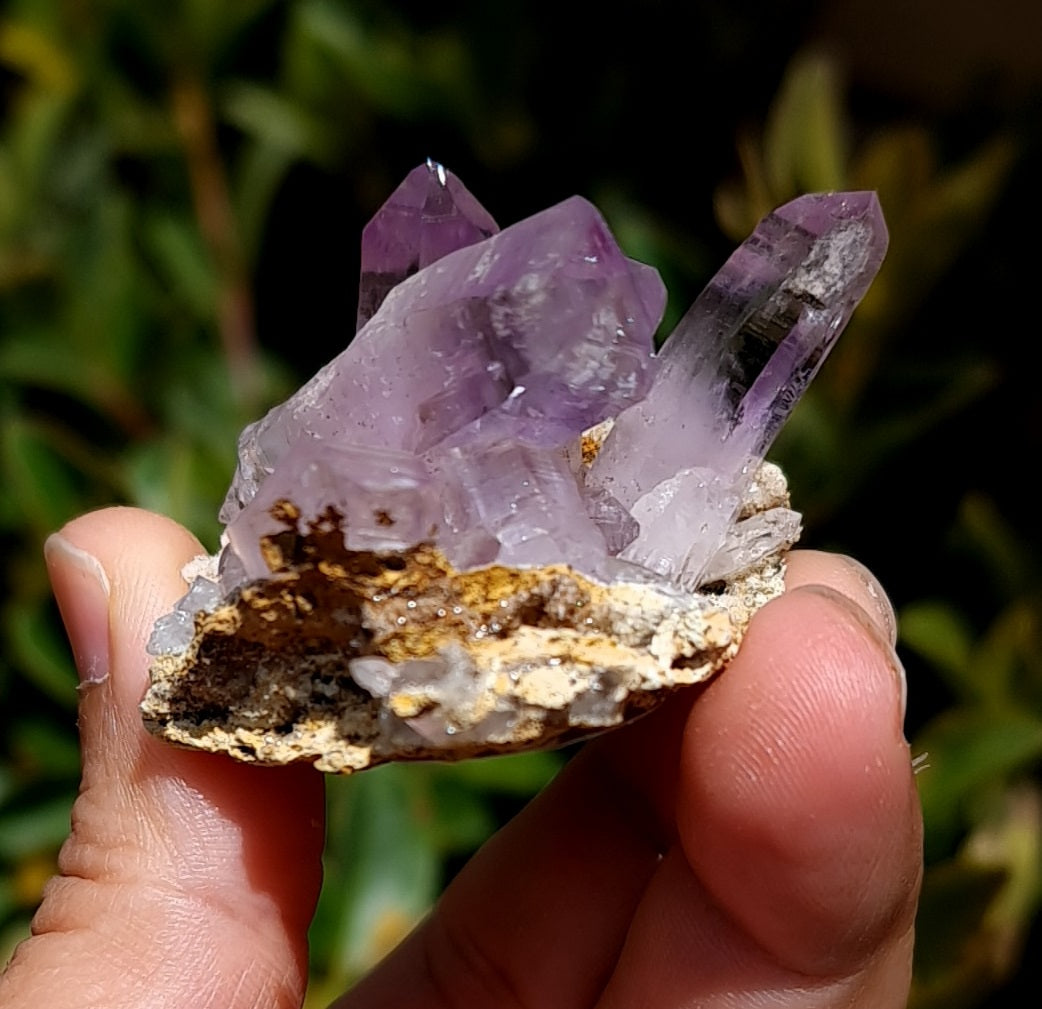 Vera Cruz Amethyst Specimen