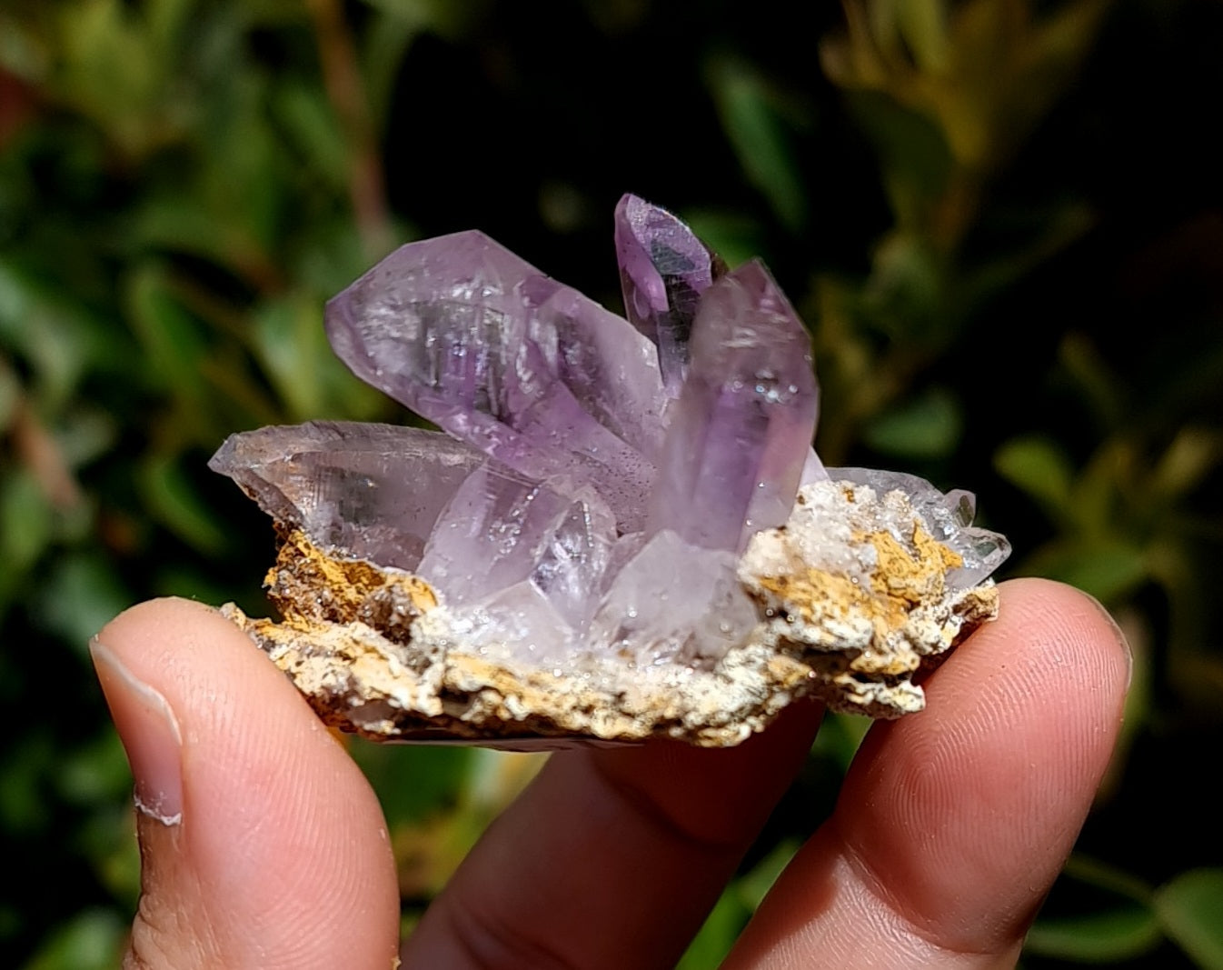 Vera Cruz Amethyst Specimen