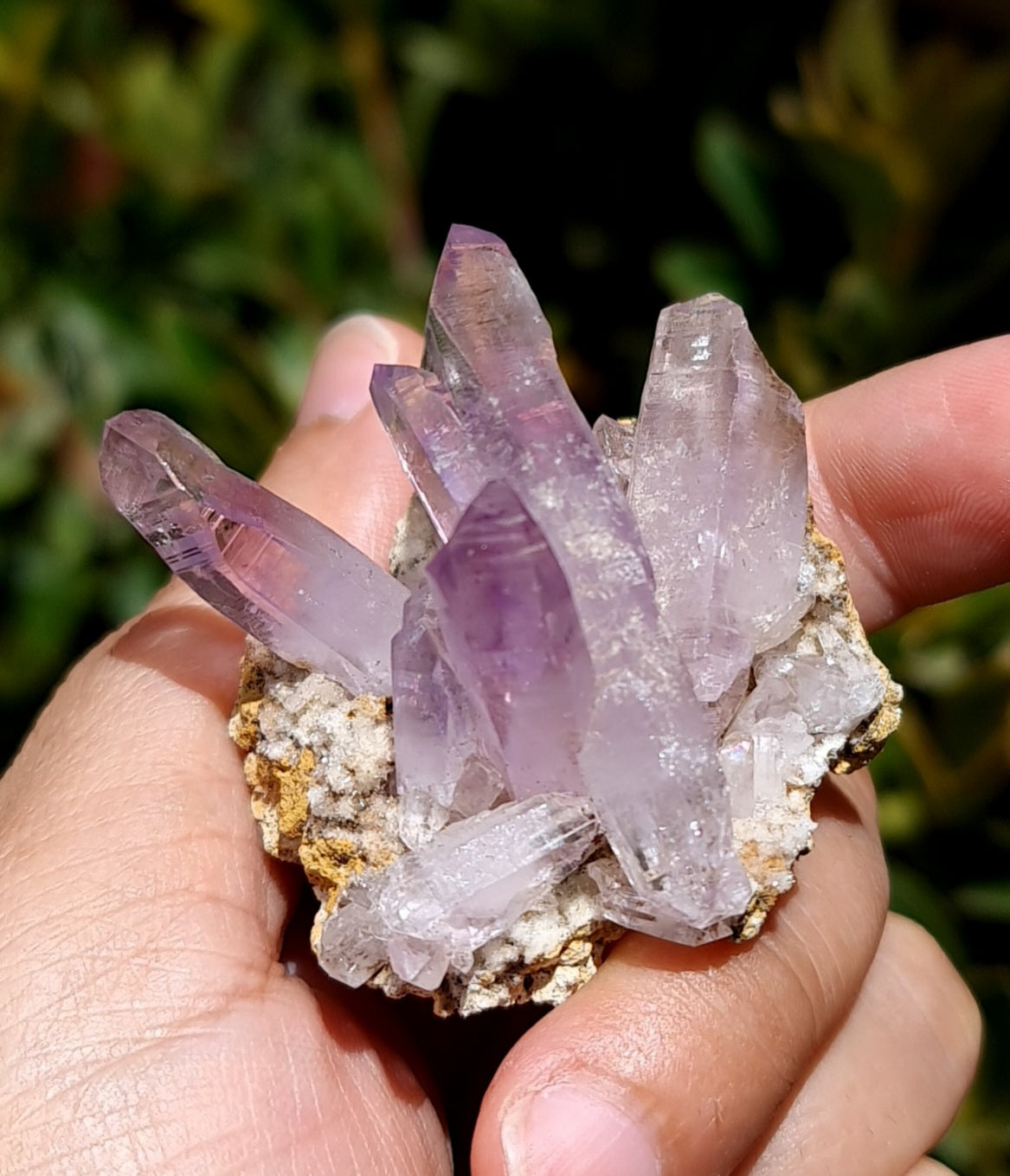 Vera Cruz Amethyst Specimen