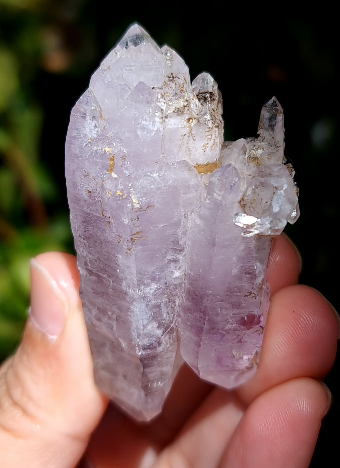 Vera Cruz Amethyst Specimen