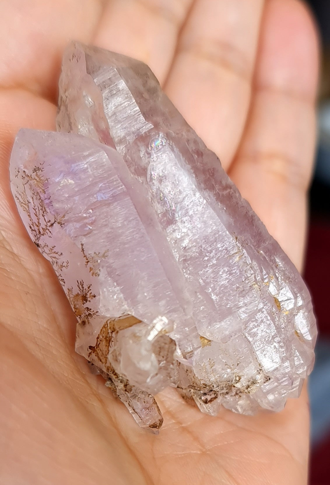 Vera Cruz Amethyst Specimen