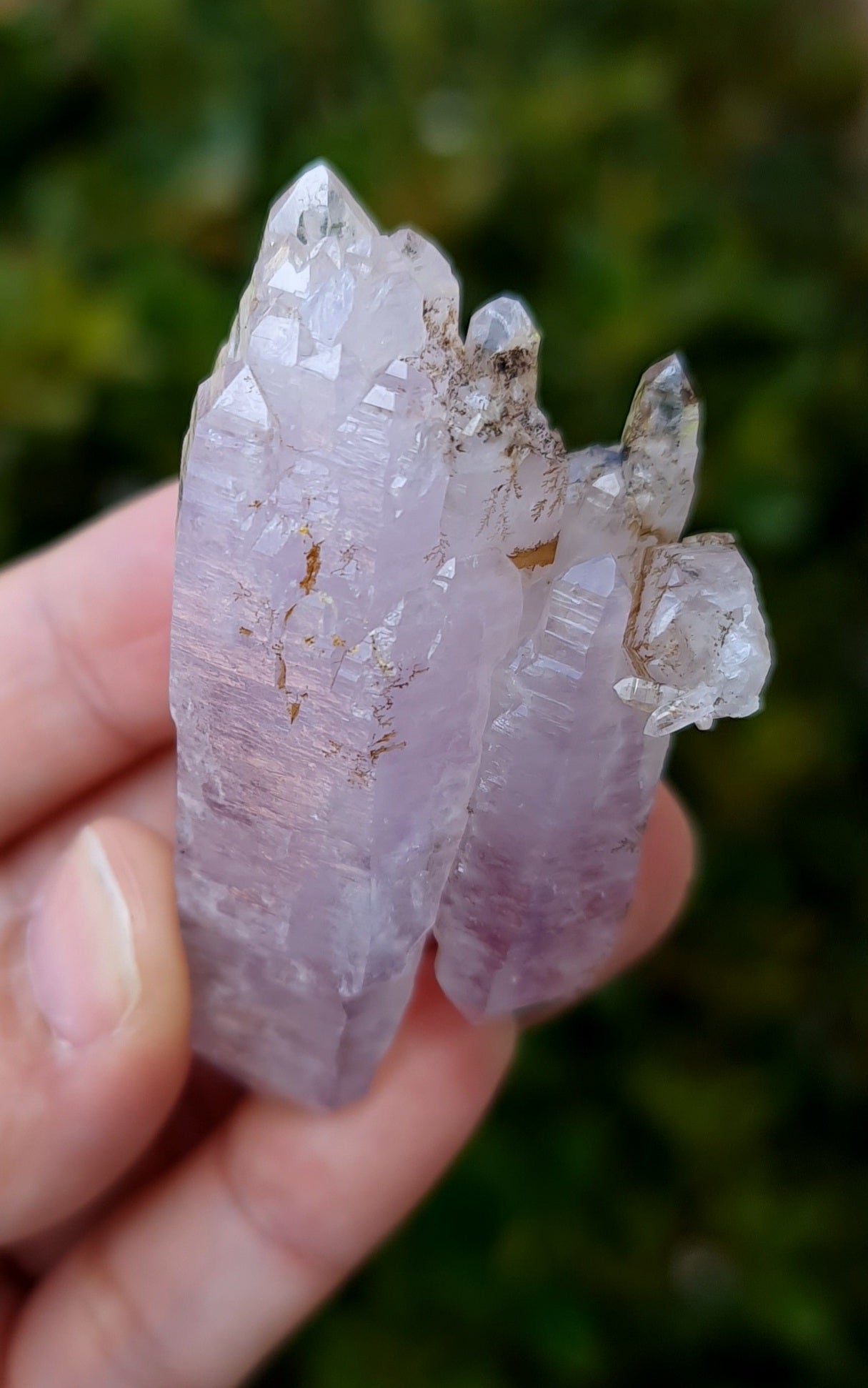 Vera Cruz Amethyst Specimen