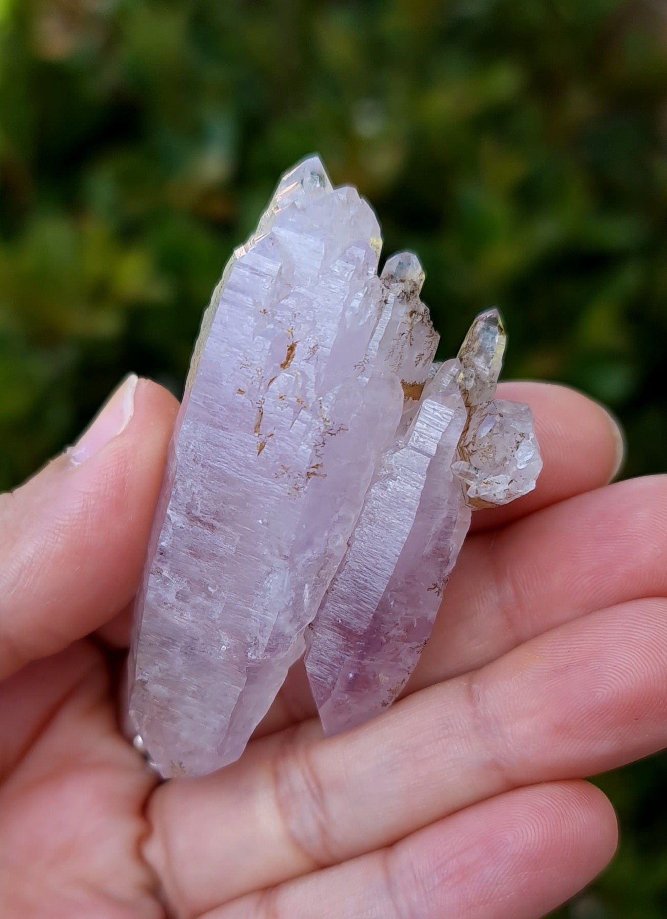 Vera Cruz Amethyst Specimen