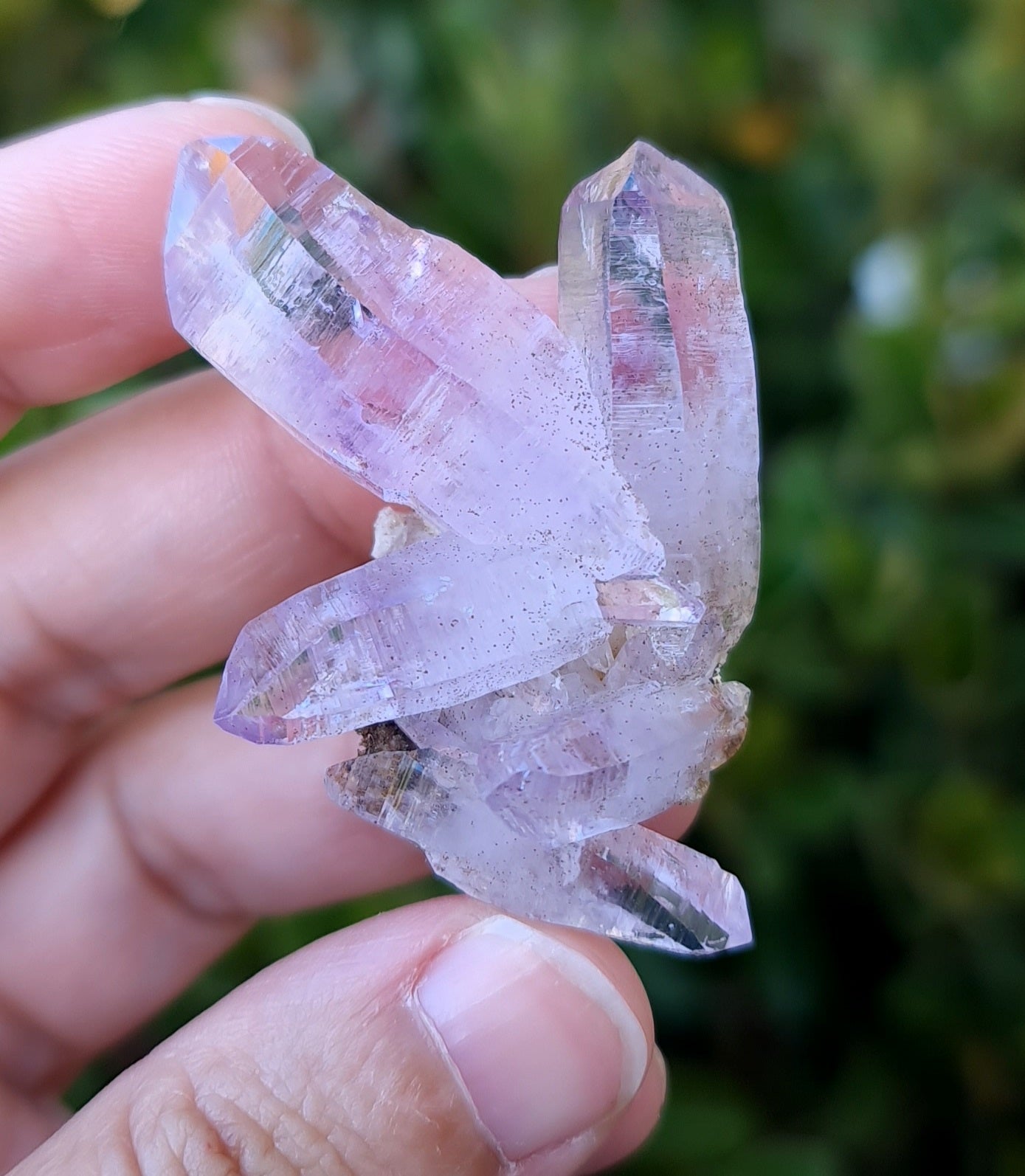 Vera Cruz Amethyst Specimen