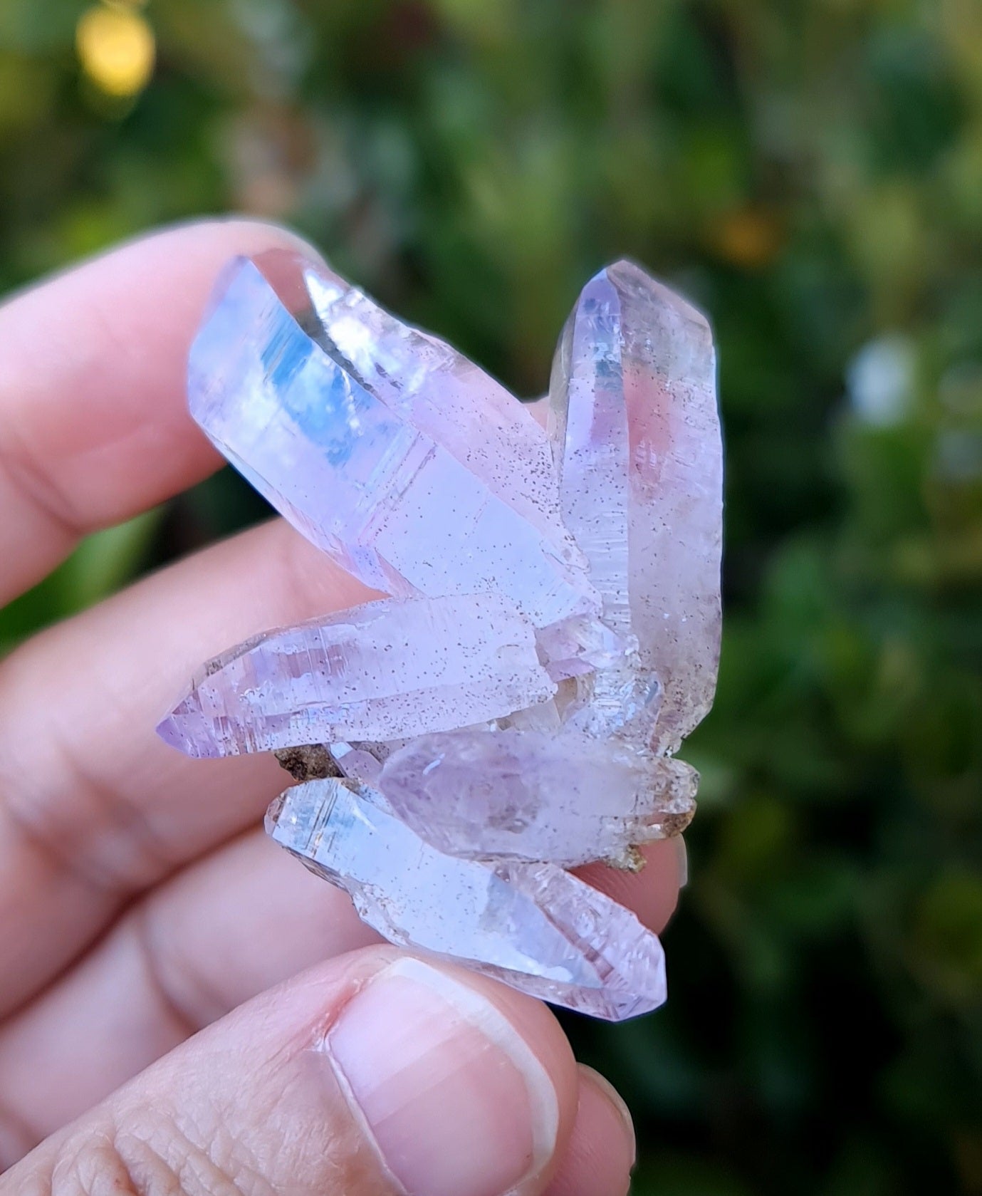 Vera Cruz Amethyst Specimen