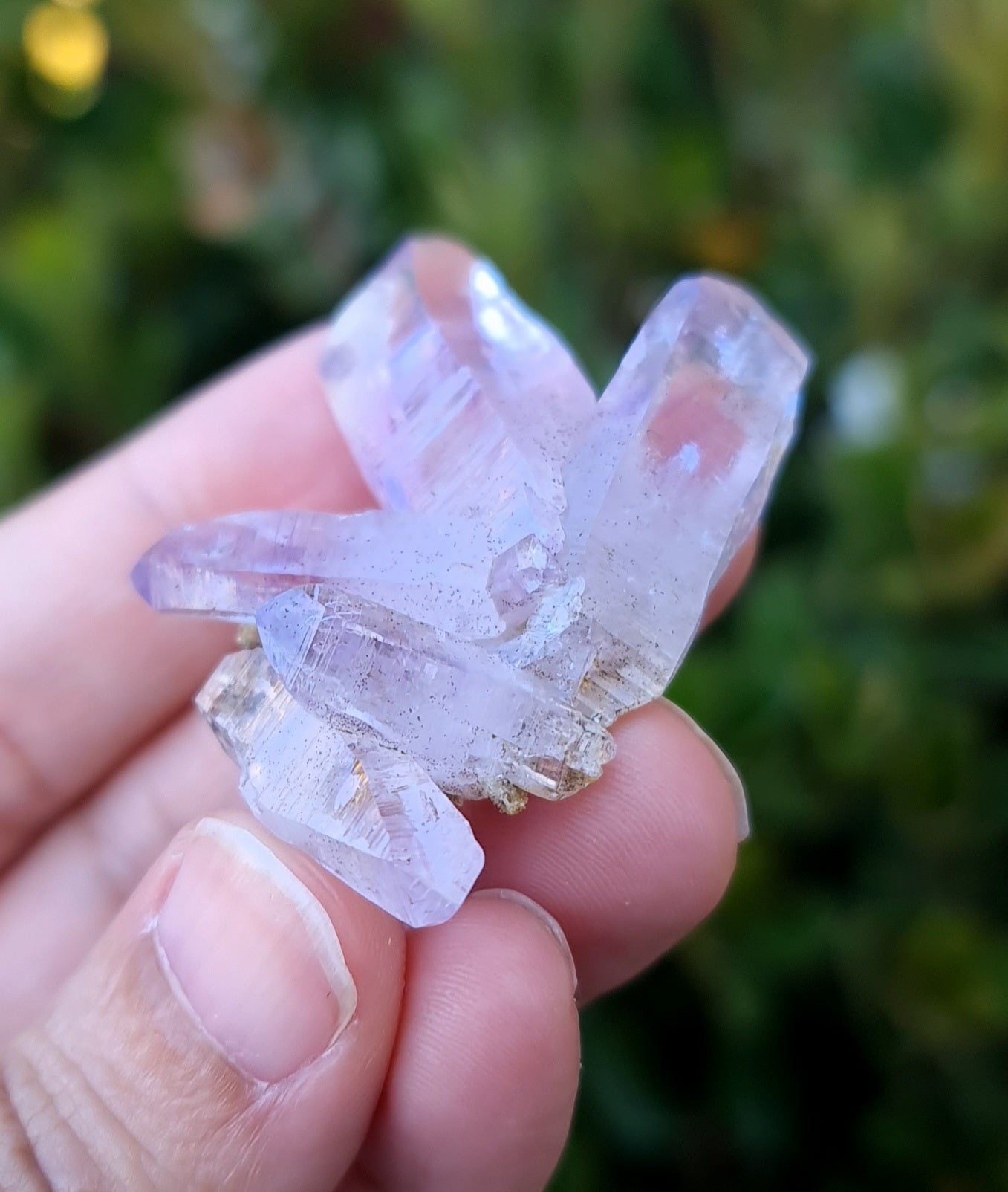 Vera Cruz Amethyst Specimen
