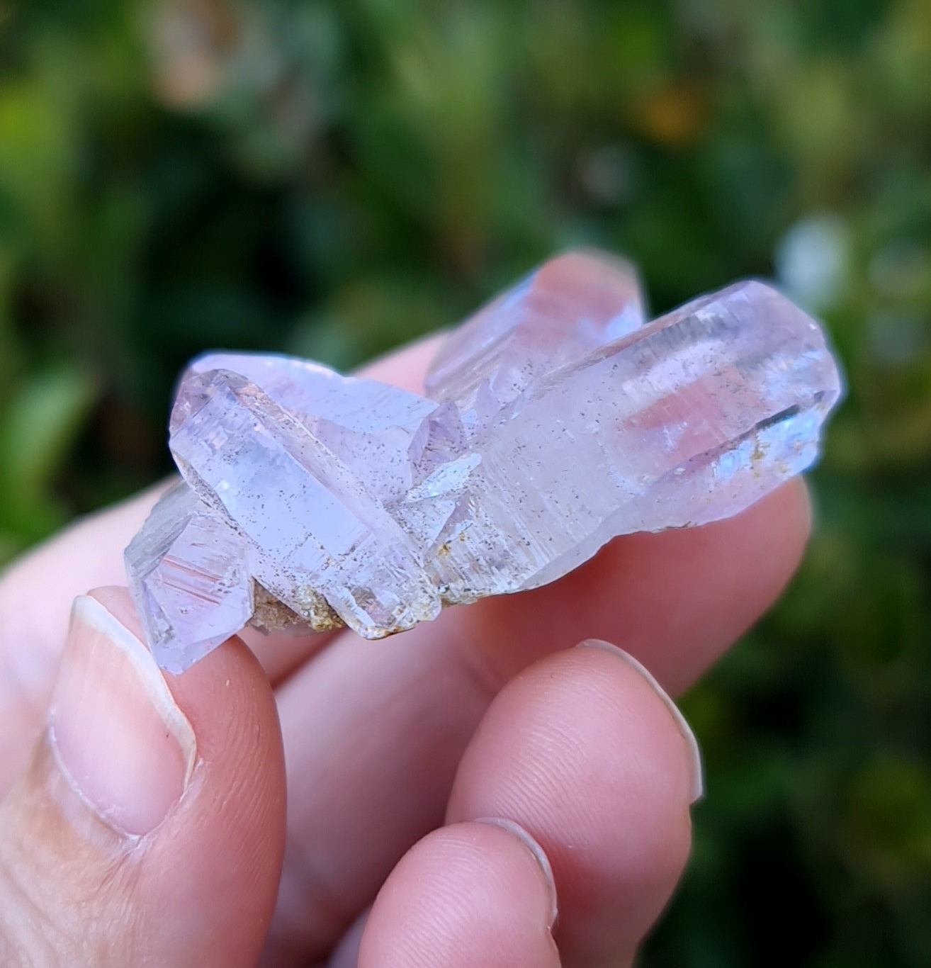 Vera Cruz Amethyst Specimen