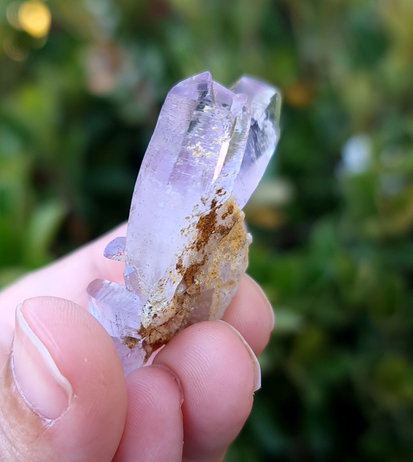Vera Cruz Amethyst Specimen