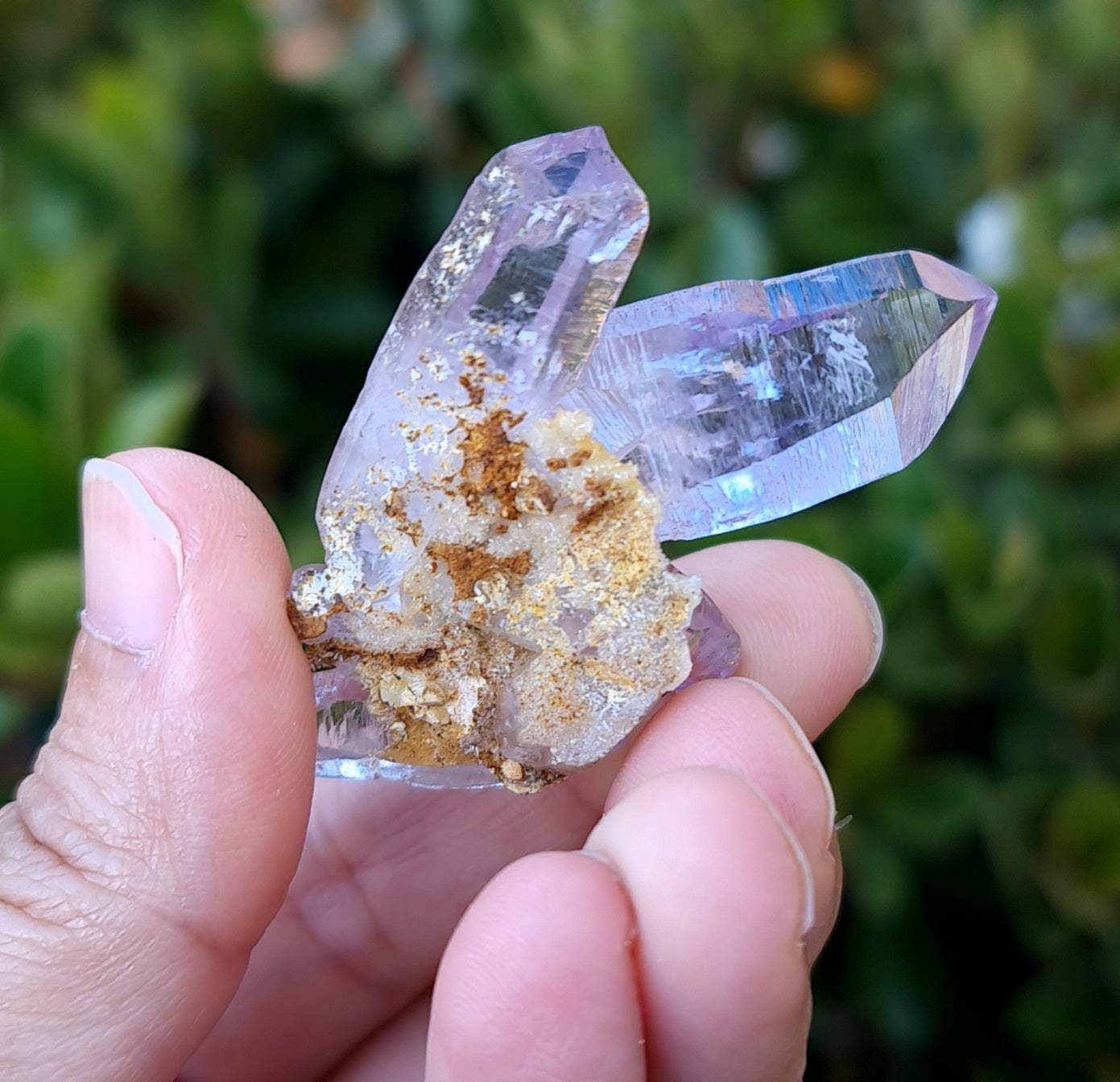 Vera Cruz Amethyst Specimen