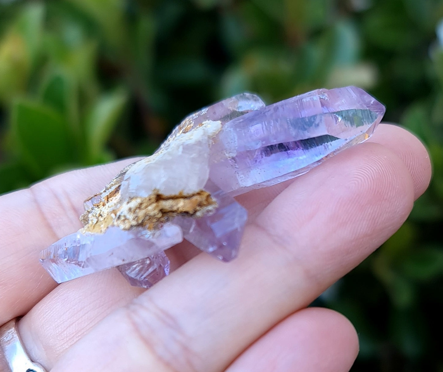 Vera Cruz Amethyst Specimen