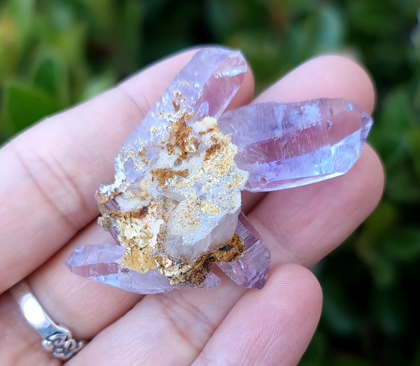 Vera Cruz Amethyst Specimen