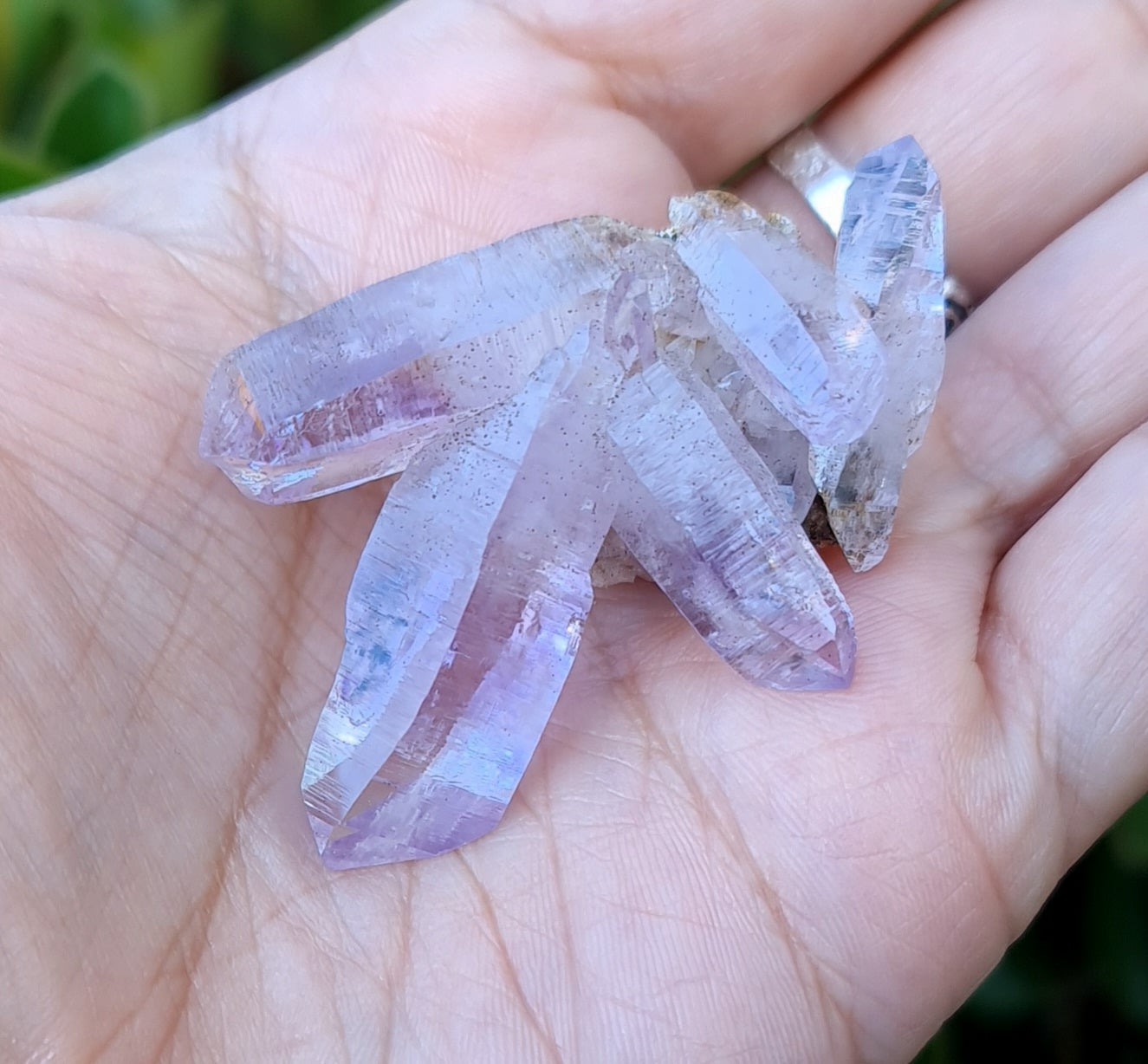 Vera Cruz Amethyst Specimen