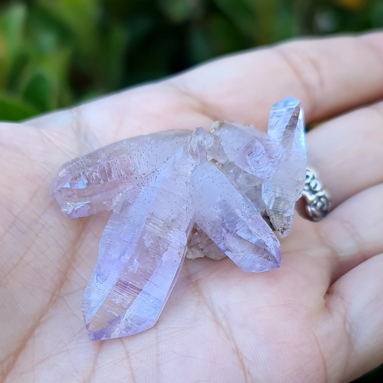 Vera Cruz Amethyst Specimen