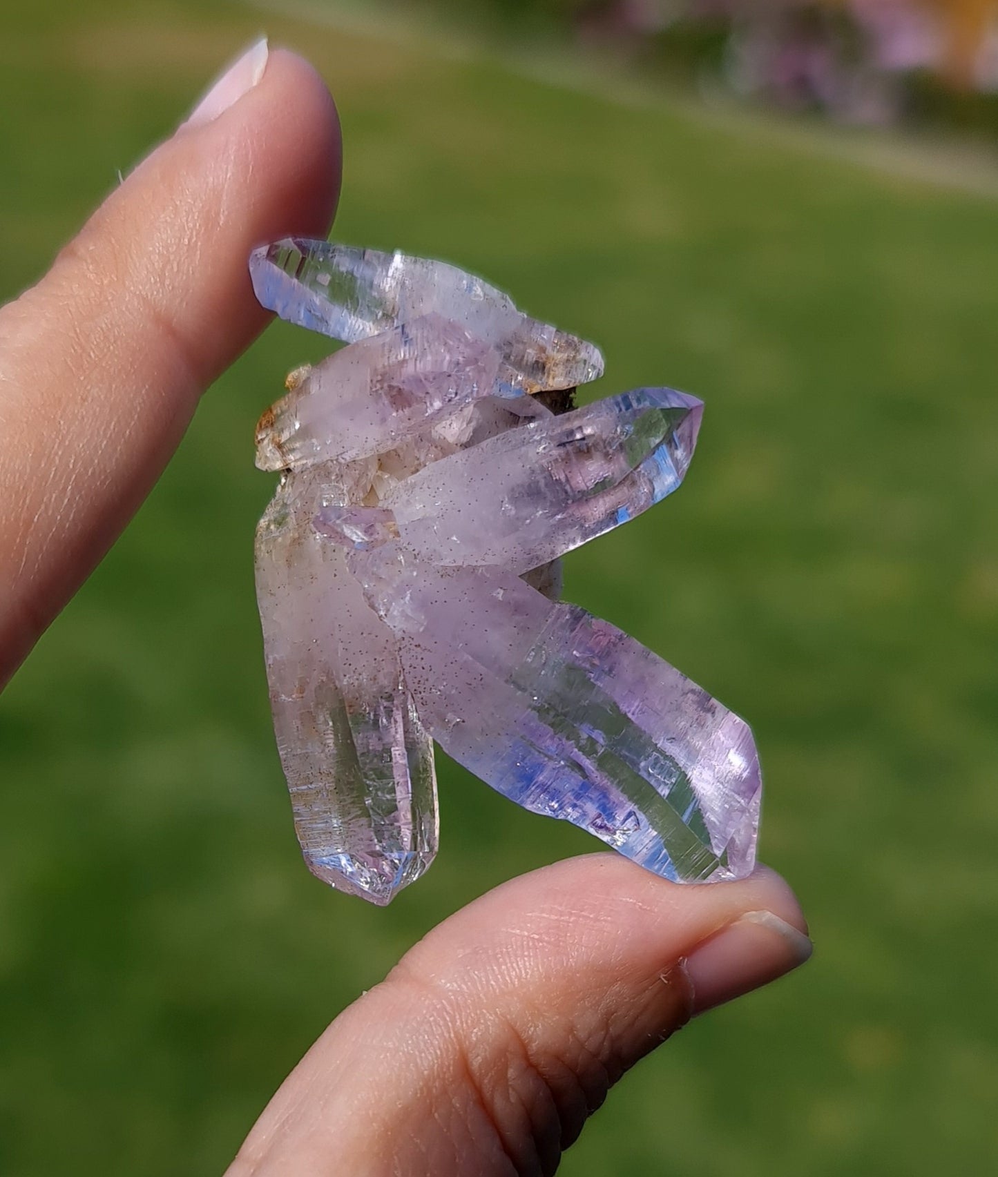 Vera Cruz Amethyst Specimen