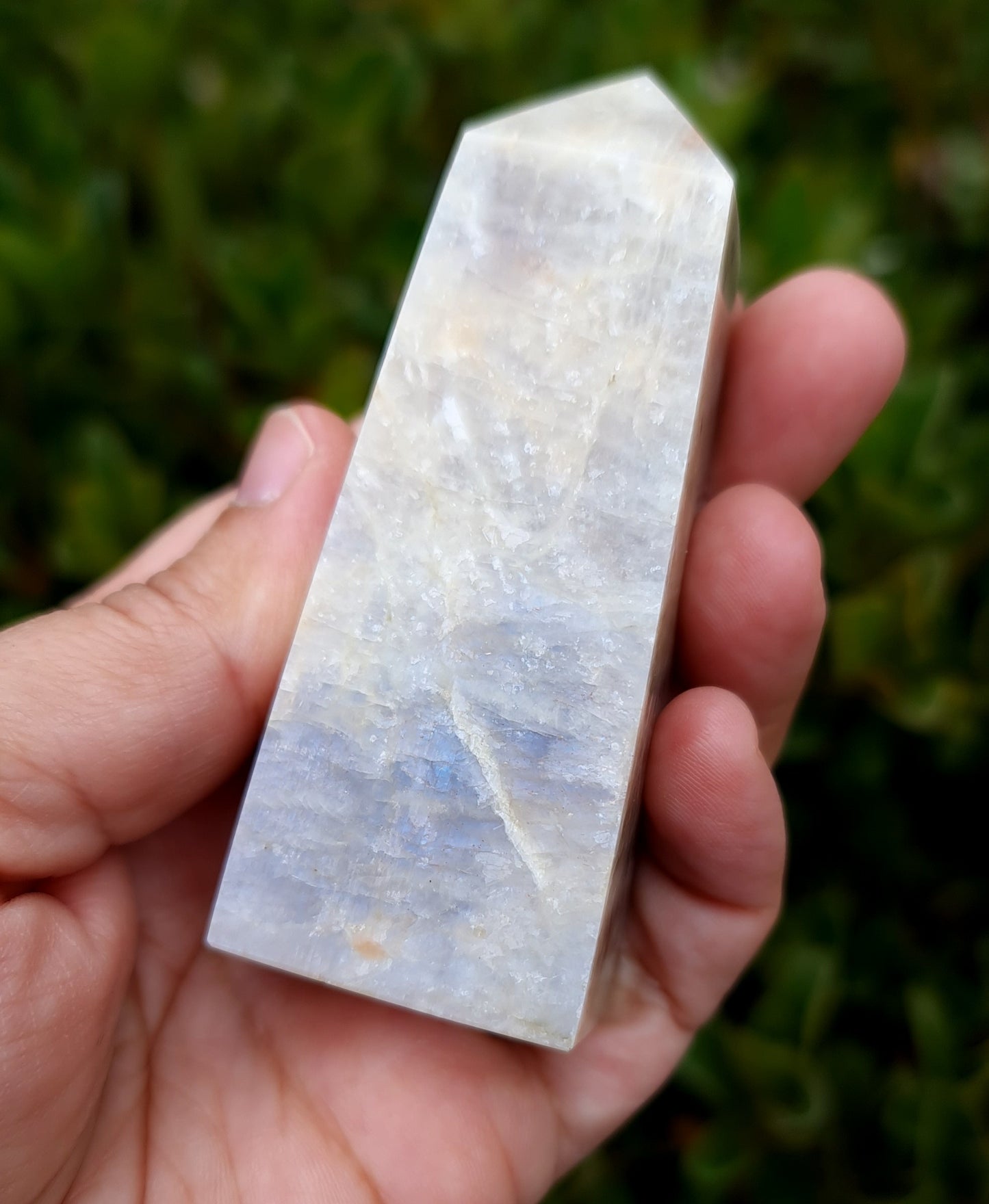 Belomorite - Blue Flash Moonstone Point