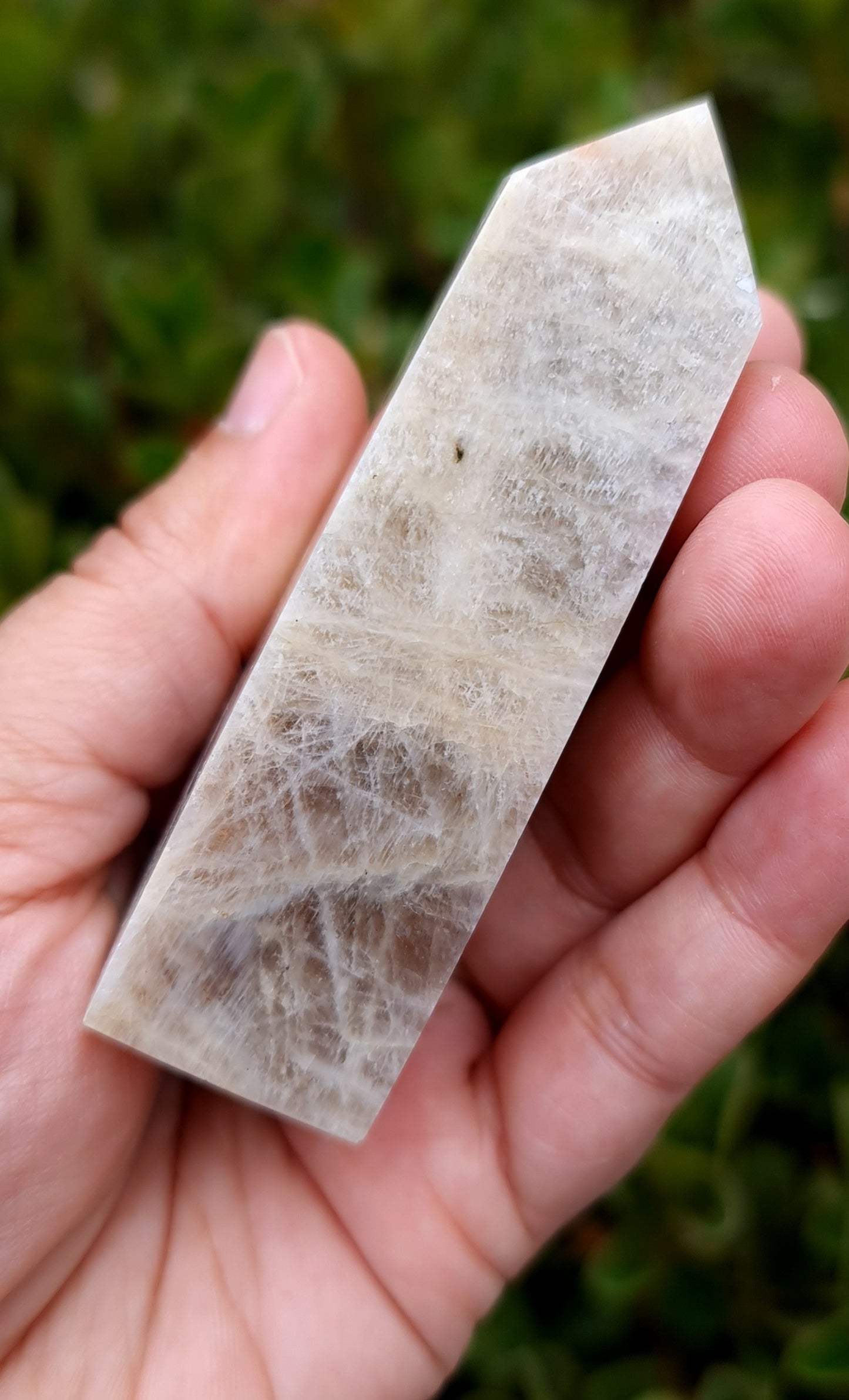 Belomorite - Blue Flash Moonstone Point