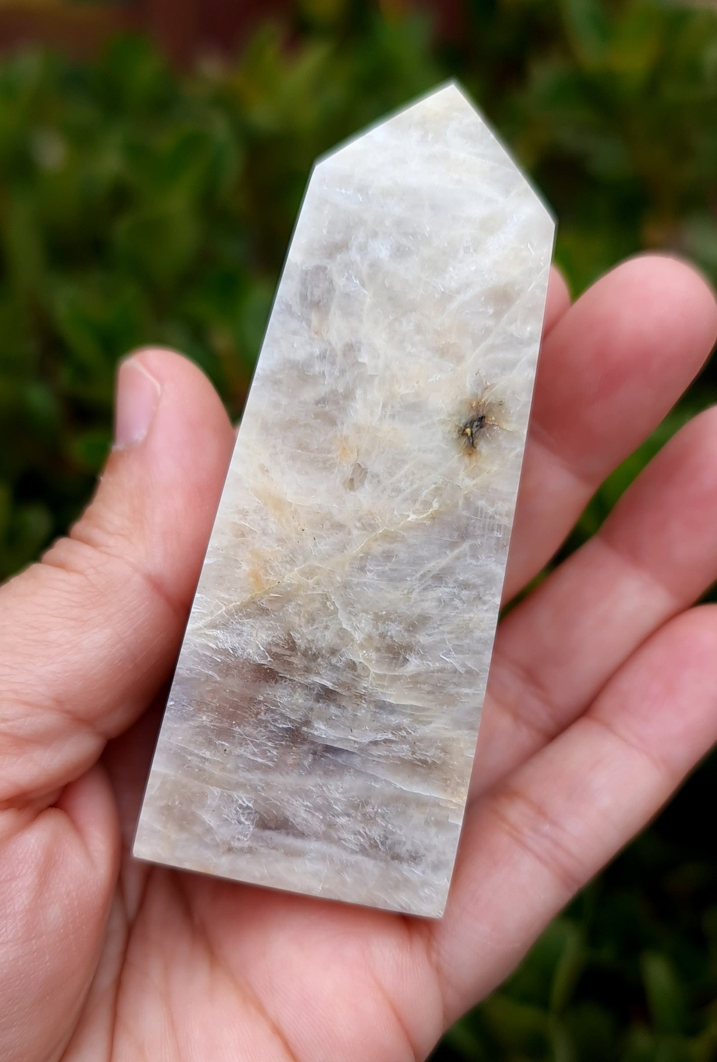 Belomorite - Blue Flash Moonstone Point