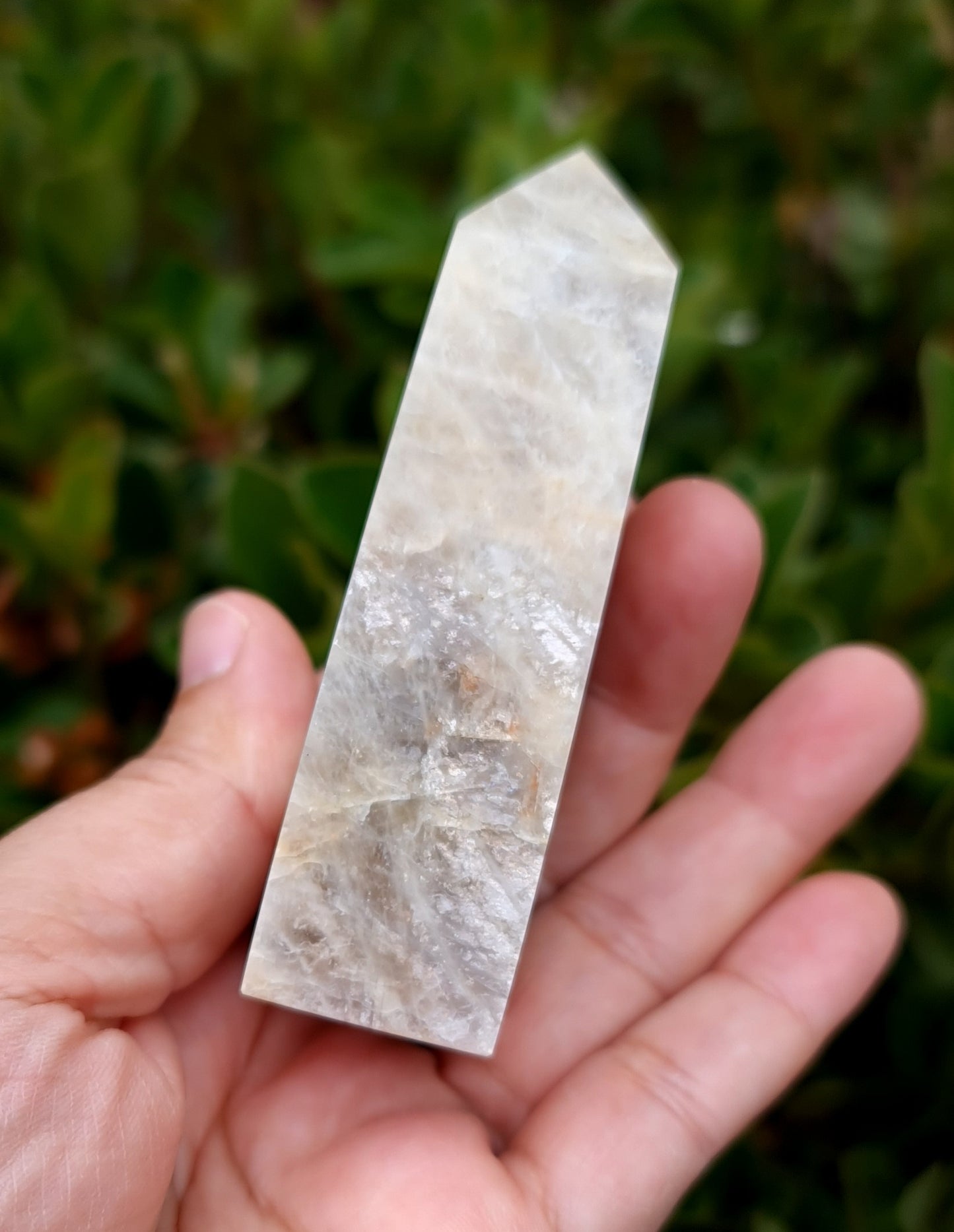 Belomorite - Blue Flash Moonstone Point
