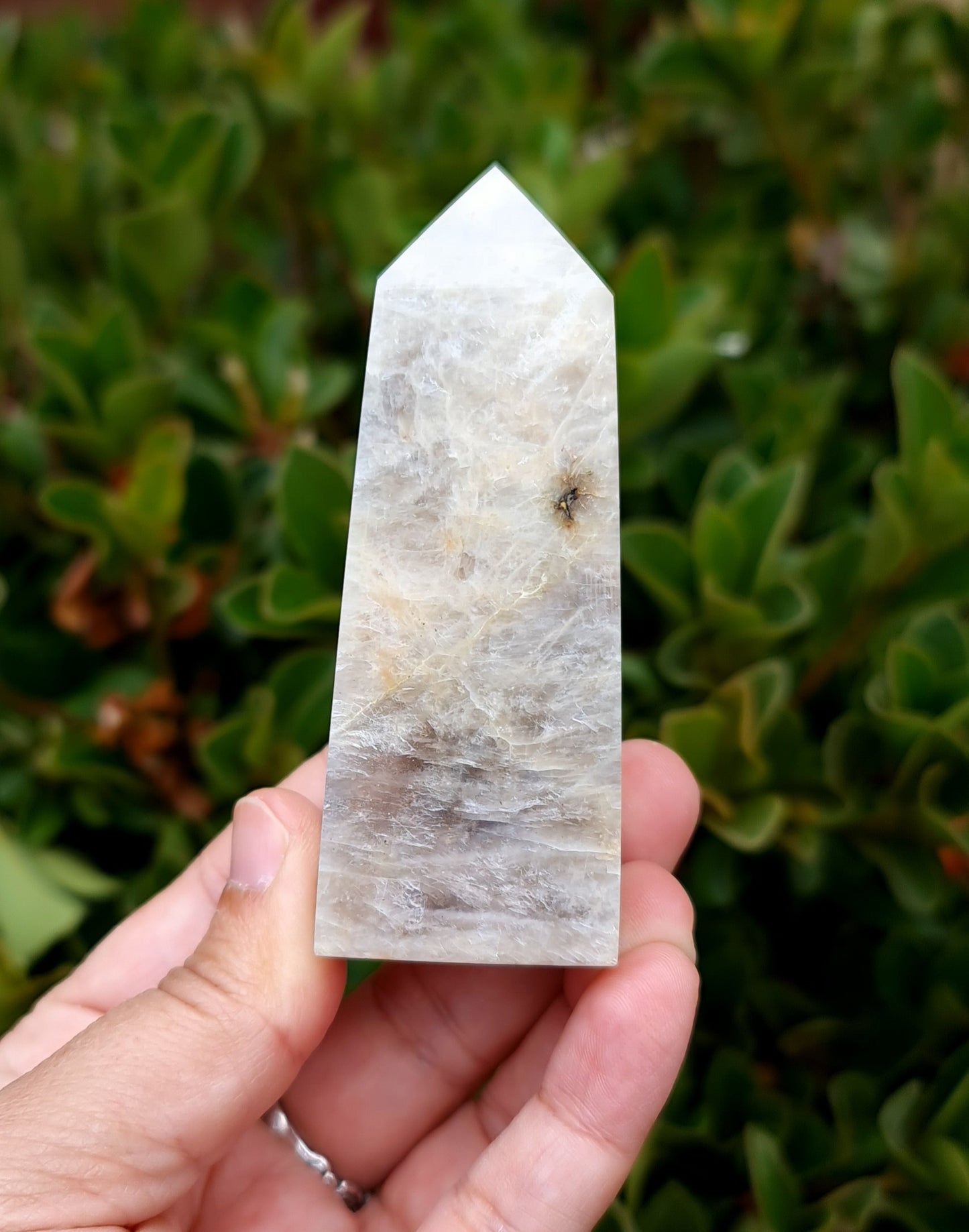 Belomorite - Blue Flash Moonstone Point