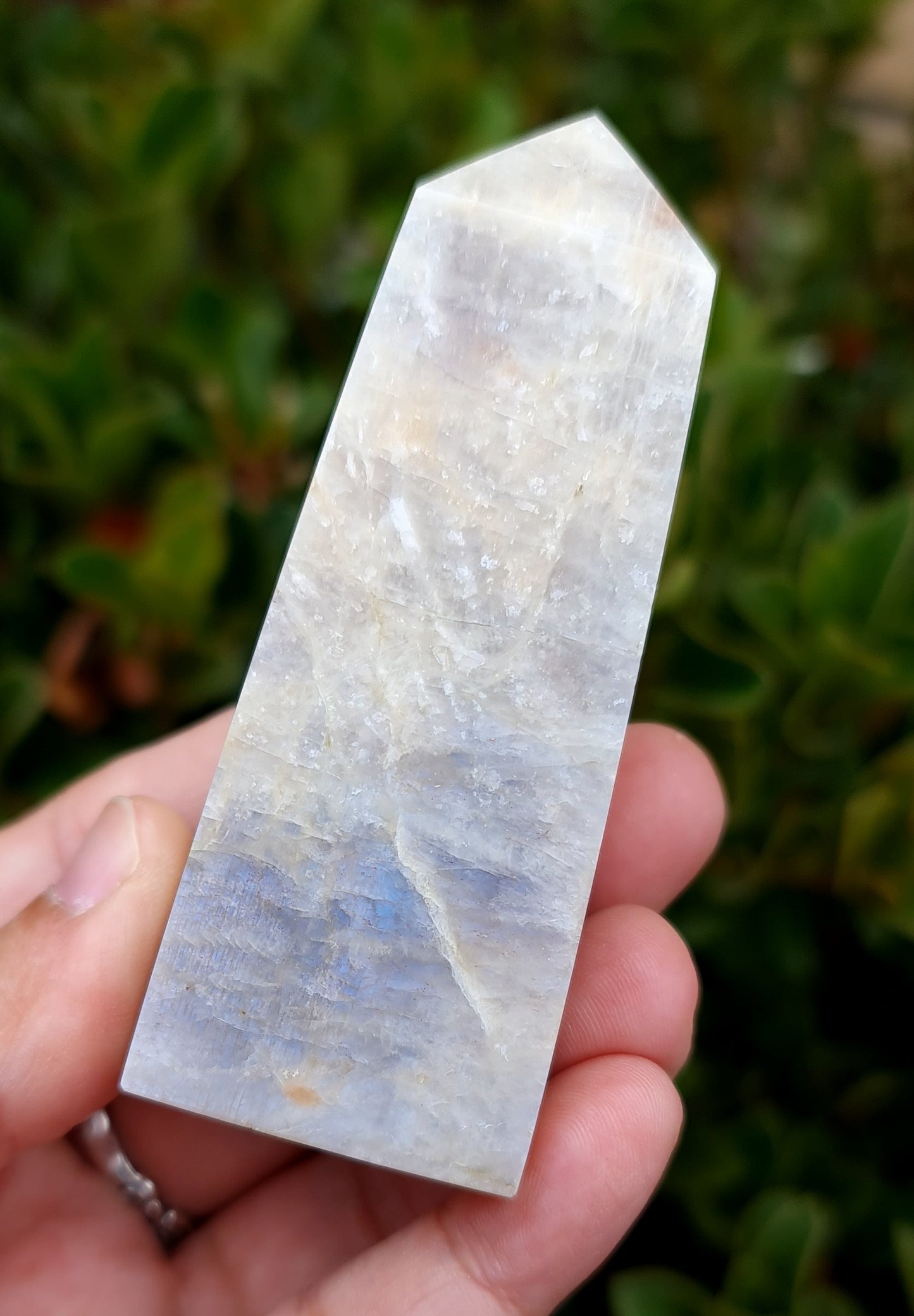 Belomorite - Blue Flash Moonstone Point